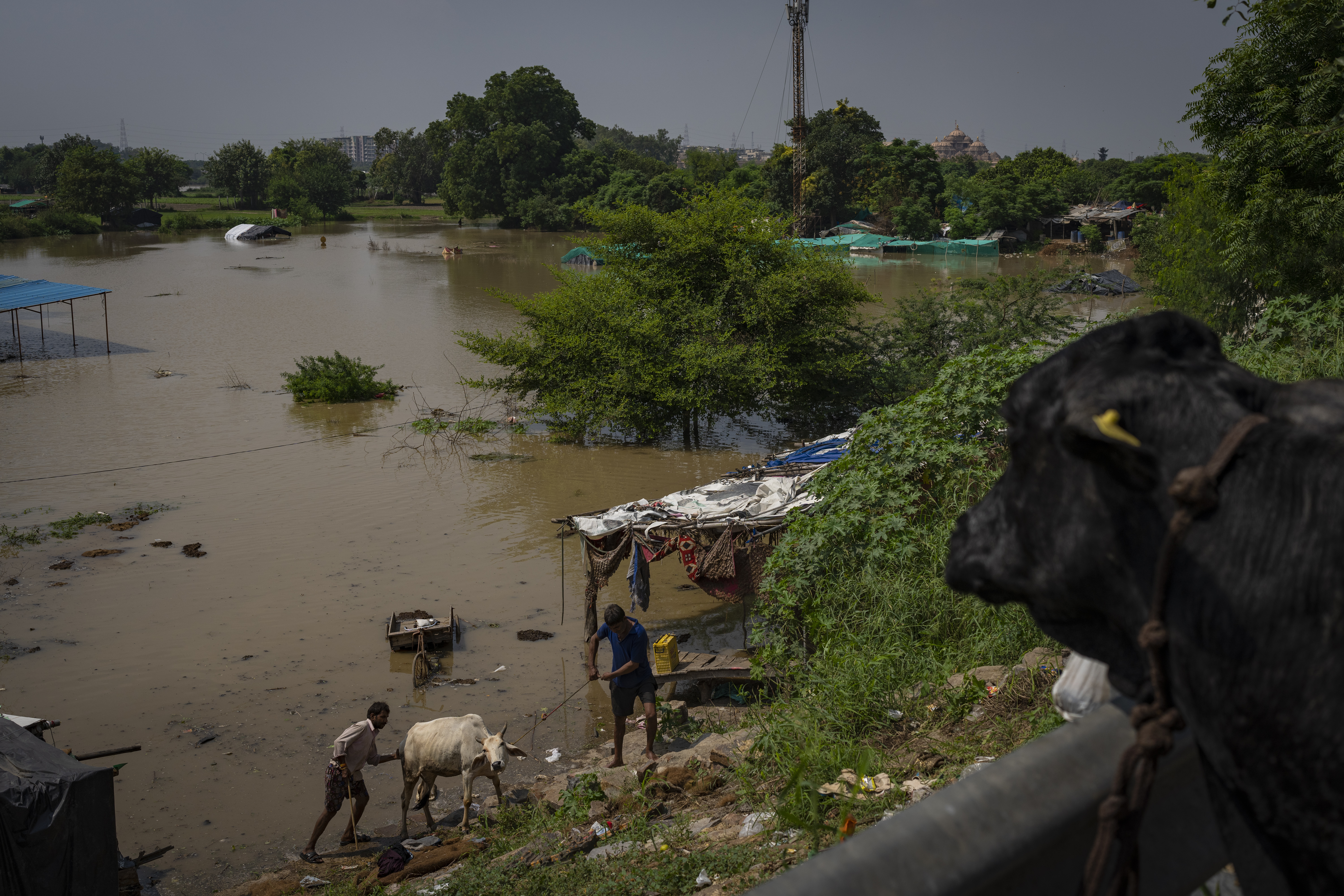 India Climate Migration