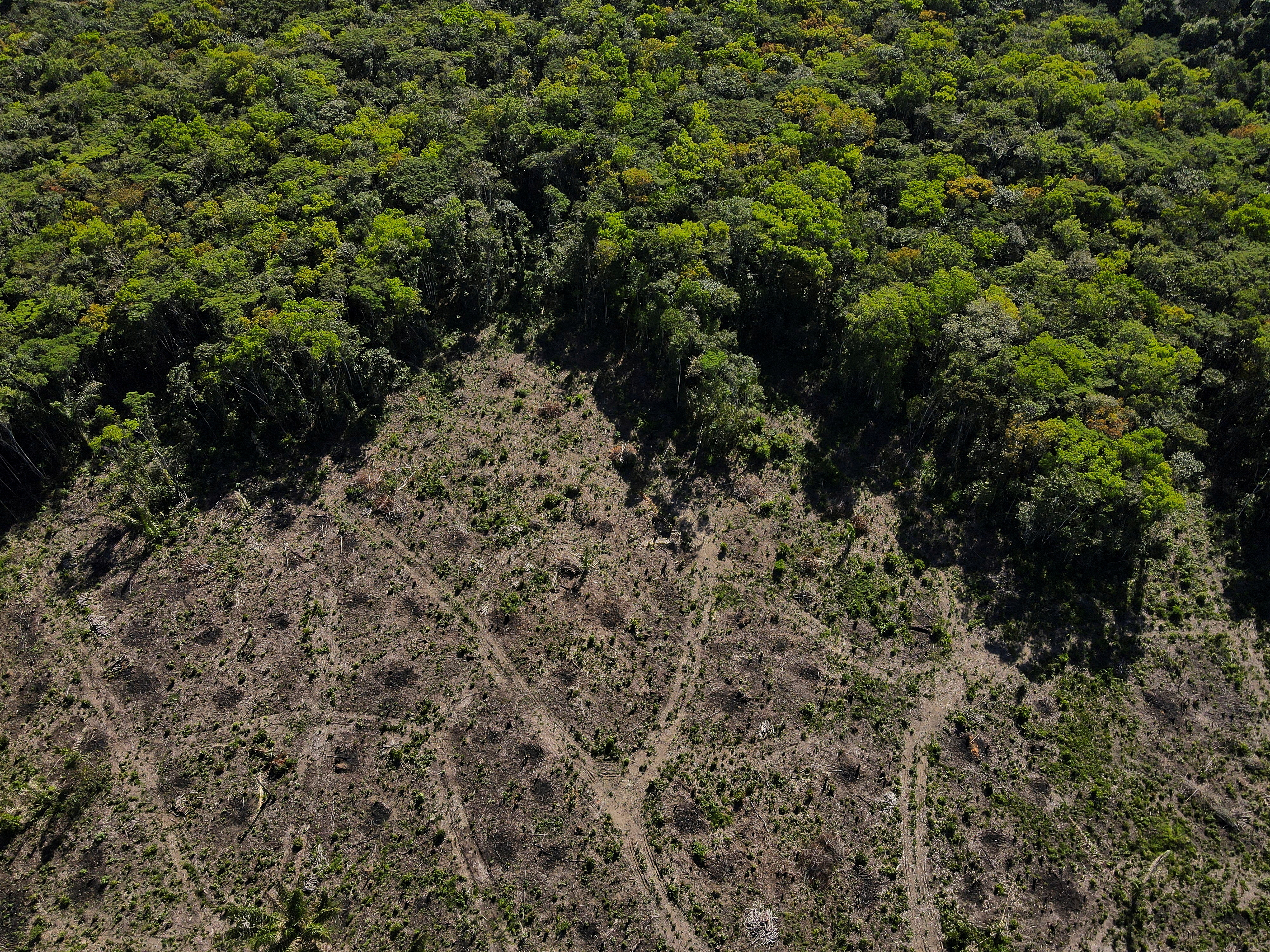 Land cleared of trees next to a still forested area of the Amazon