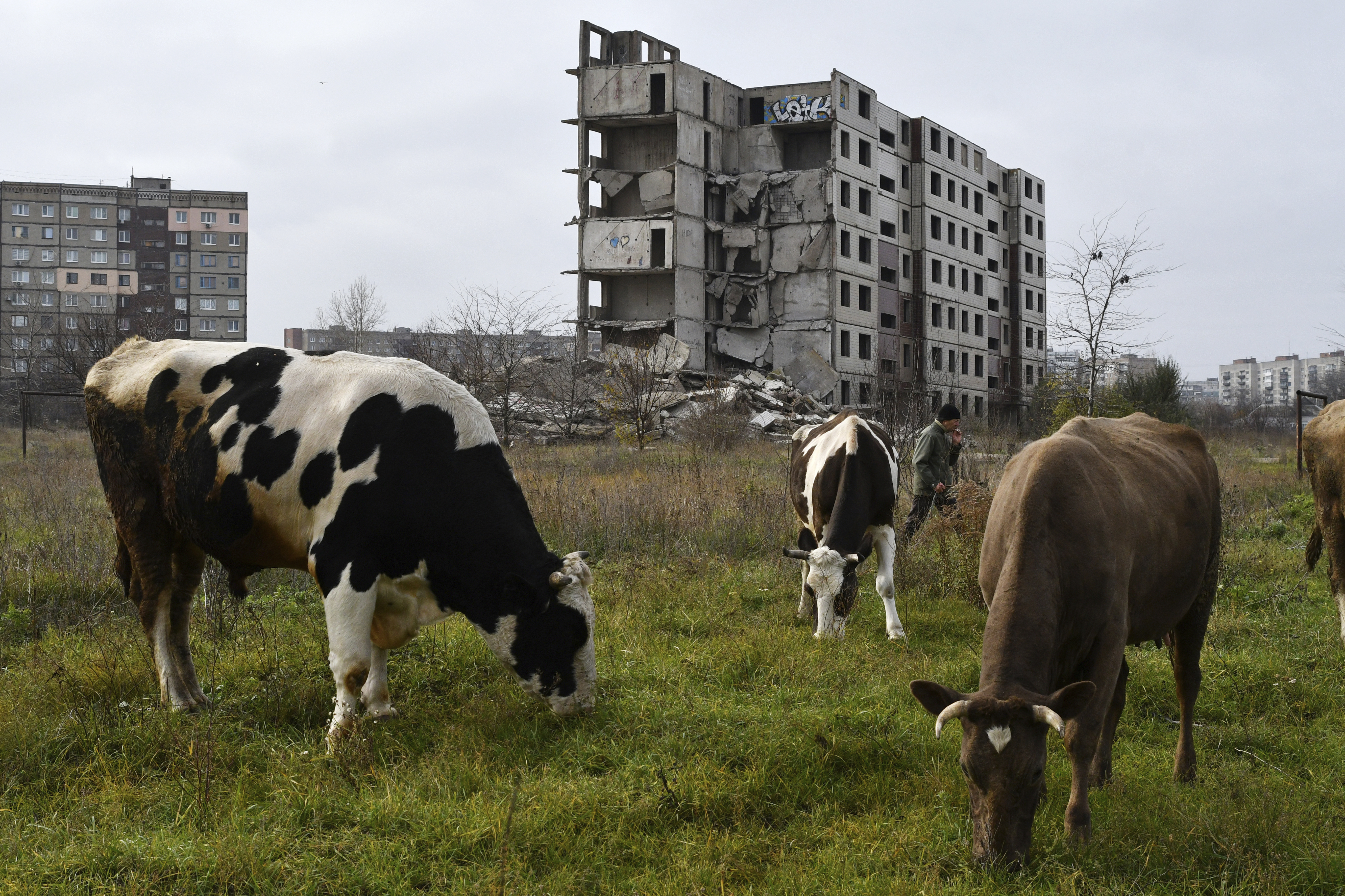 Russia Ukraine War