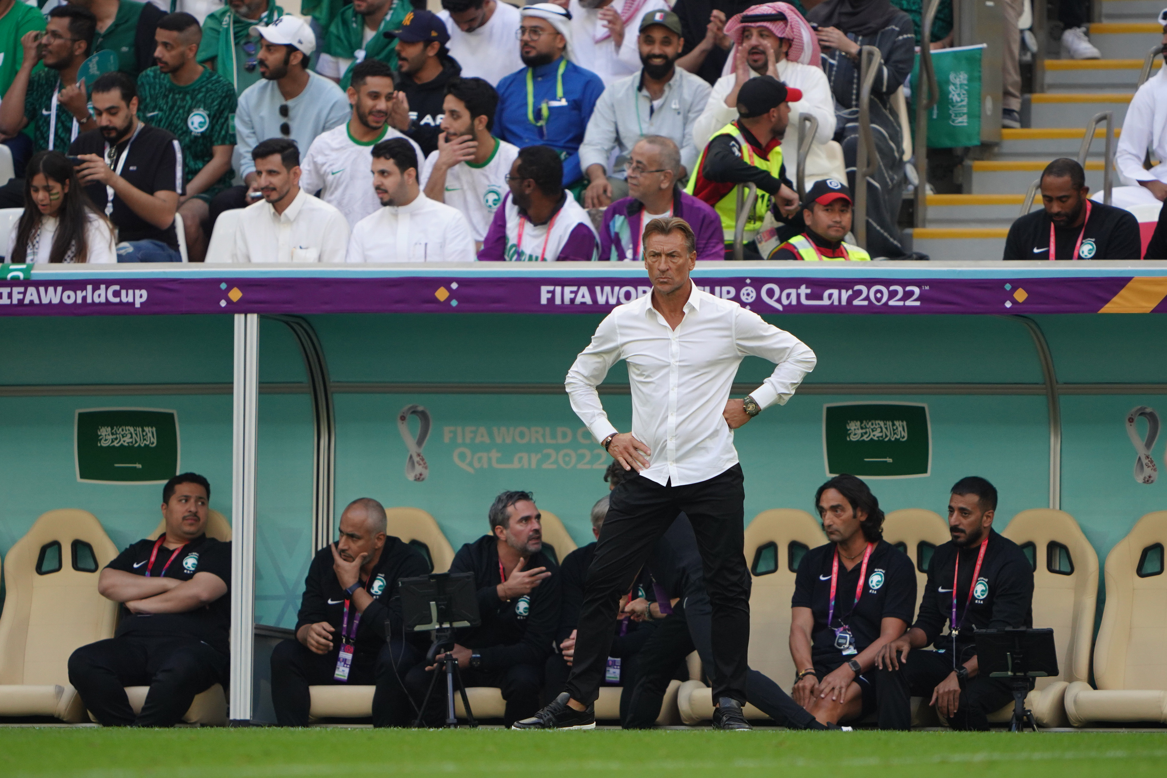 Saudi Arabia coach Herve Renard