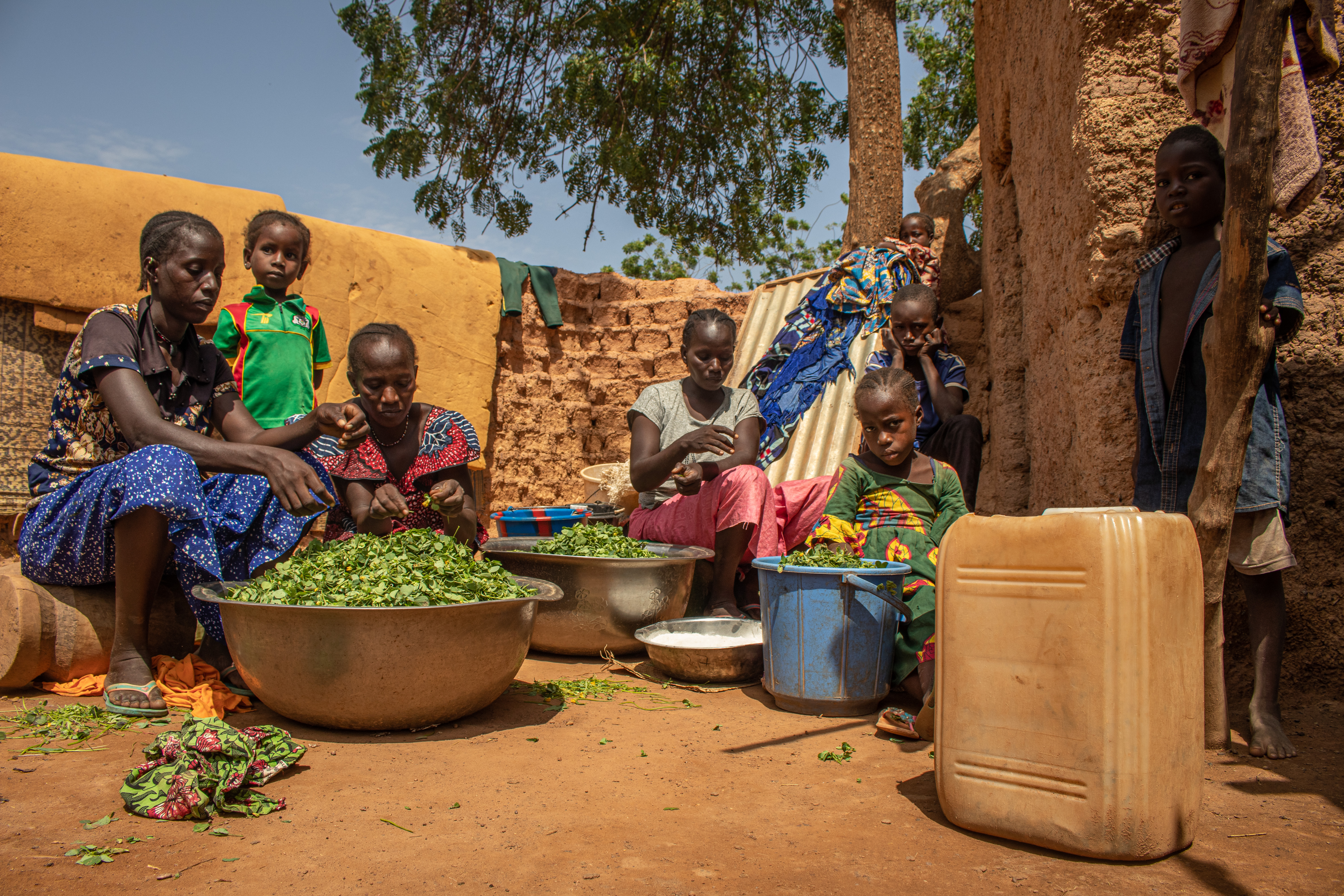 Violence in the central Sahel has spilled over into the northern border regions of Benin, Cote d’Ivoire, Ghana and Togo
