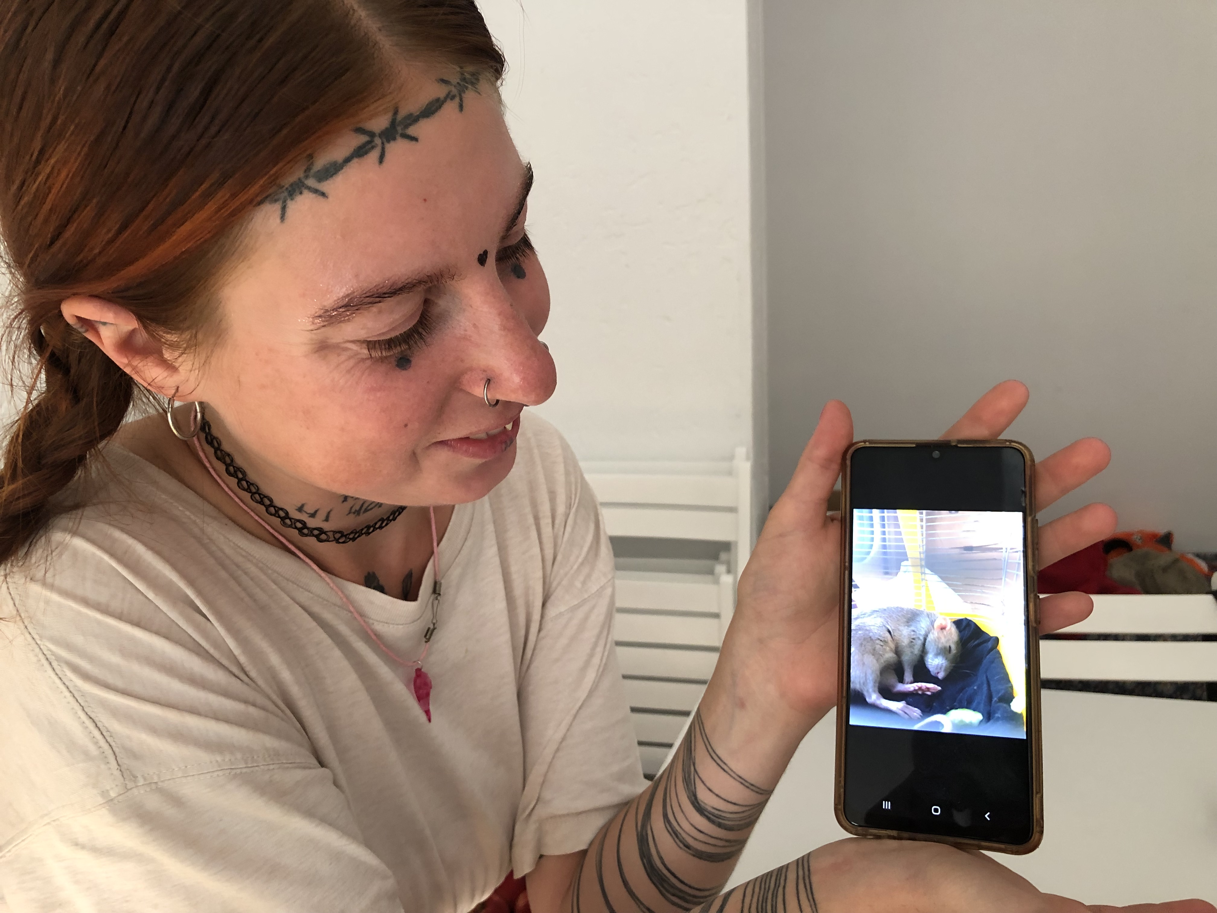Ivanka shows a picture of her napping pet rat who died a month after they arrived in Lviv