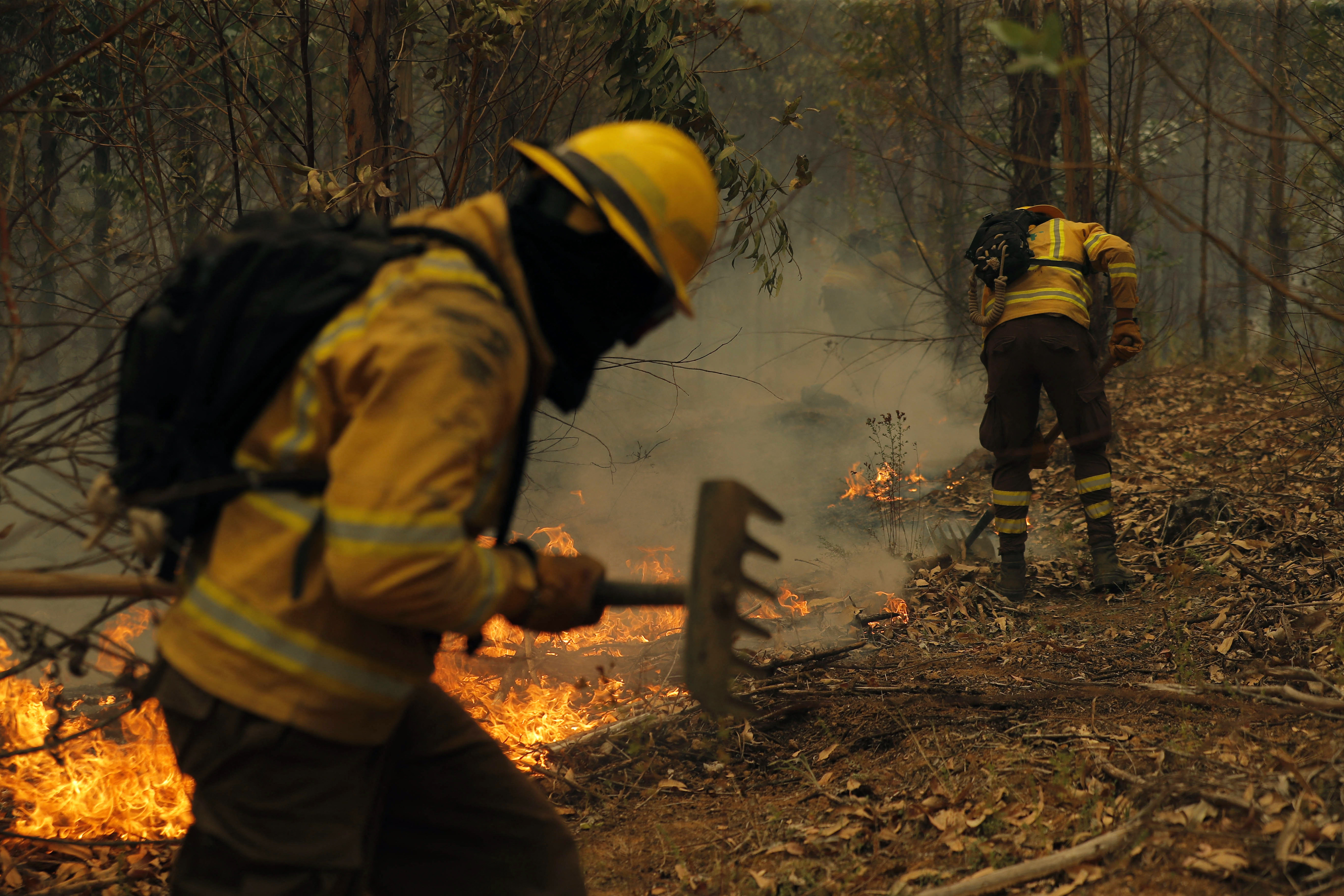 CHILE FIRES