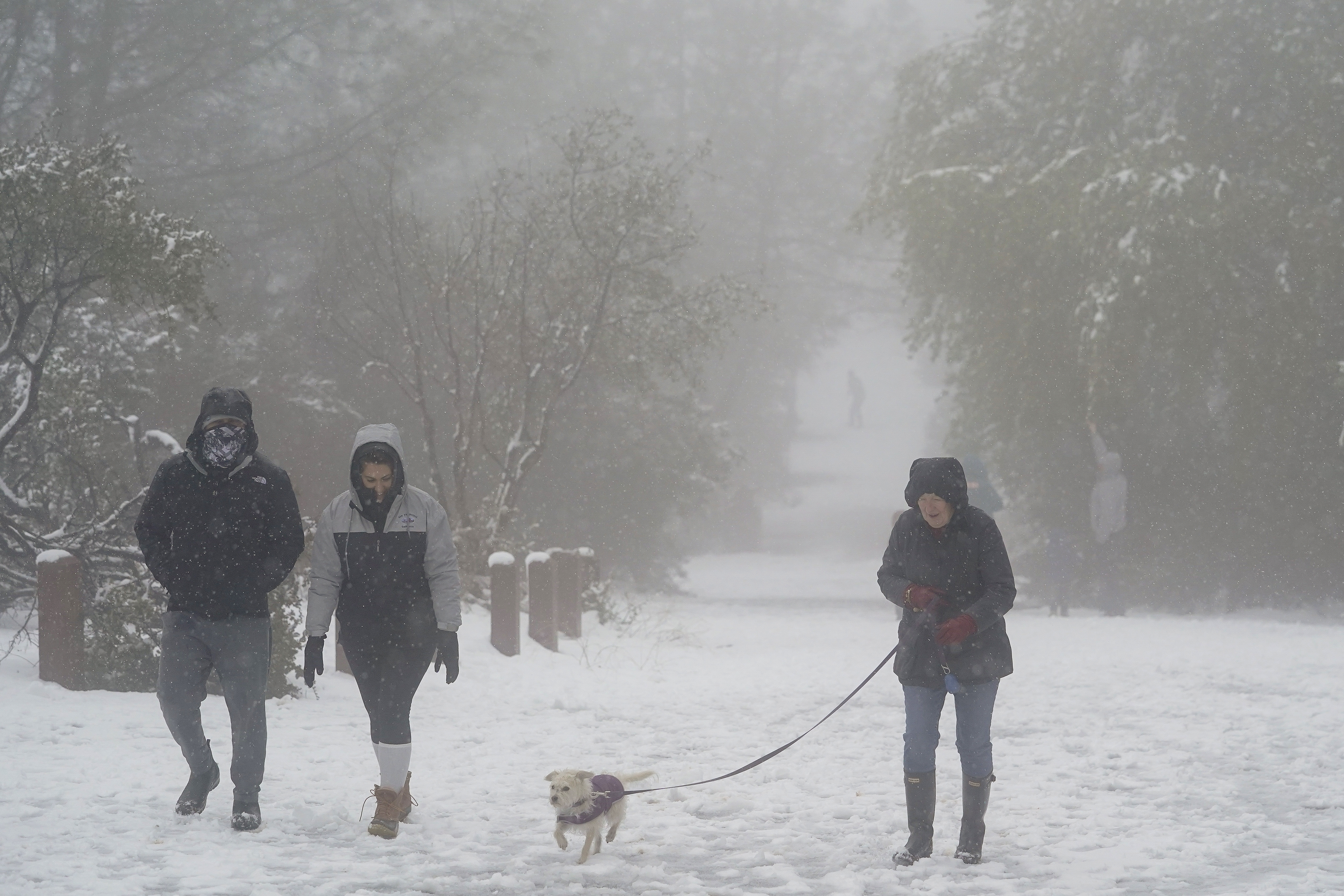 Winter Weather California