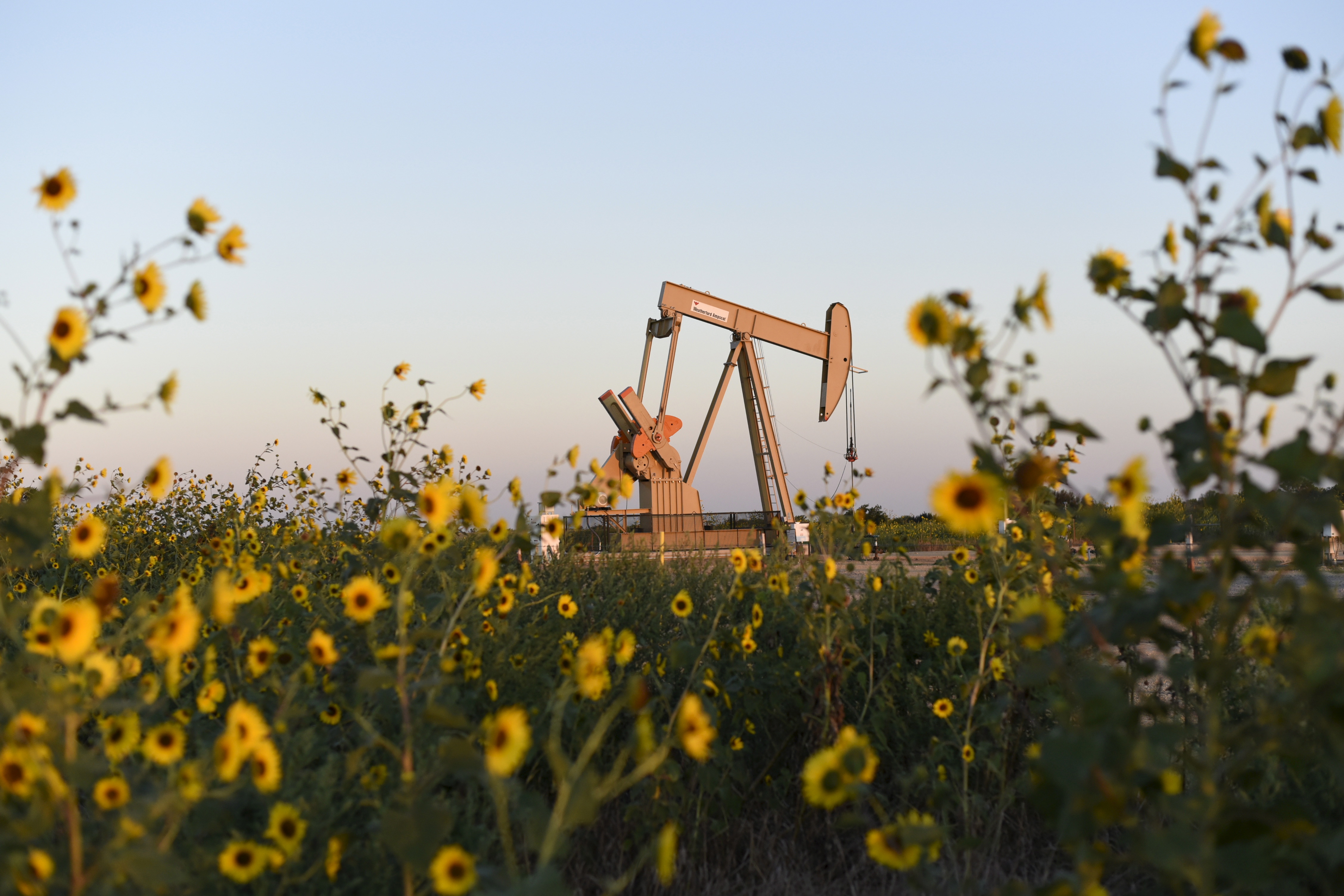 The Catholic Archdiocese of Oklahoma City is a prominent presence in Oklahoma, having signed drilling leases in the state