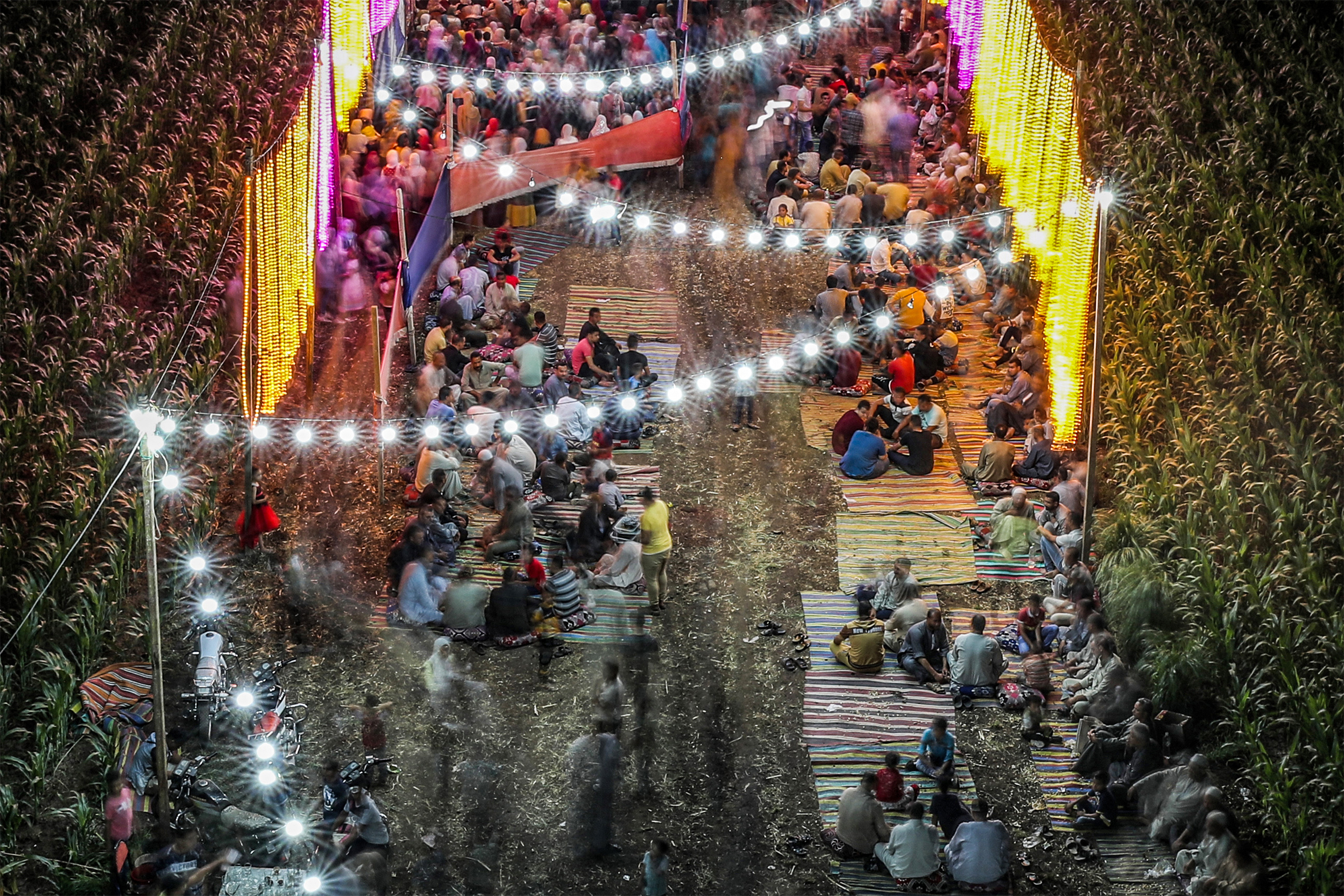 Guests gather between corn fields for a wedding in Shamma, Menoufia