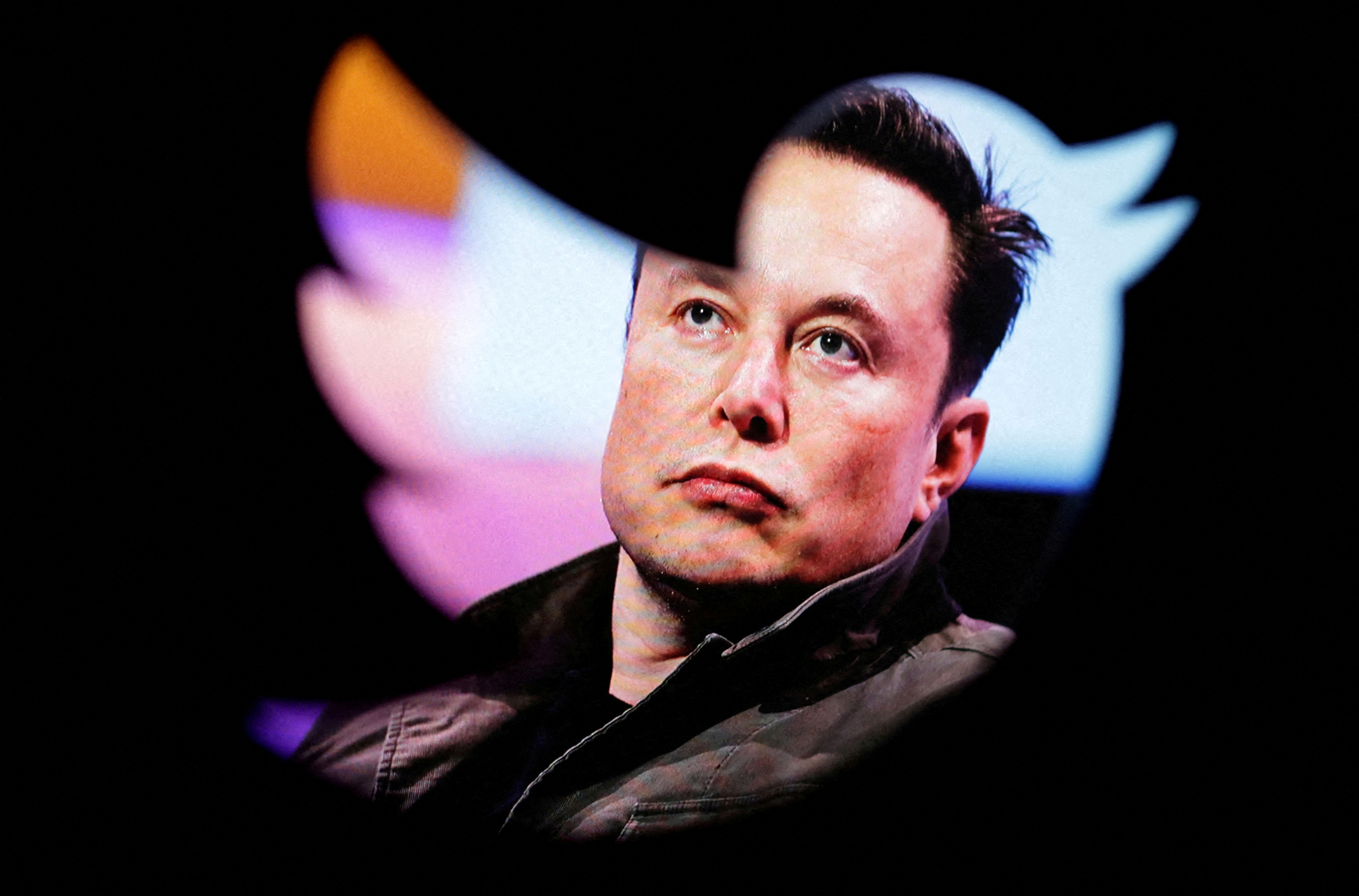 Twitter musk