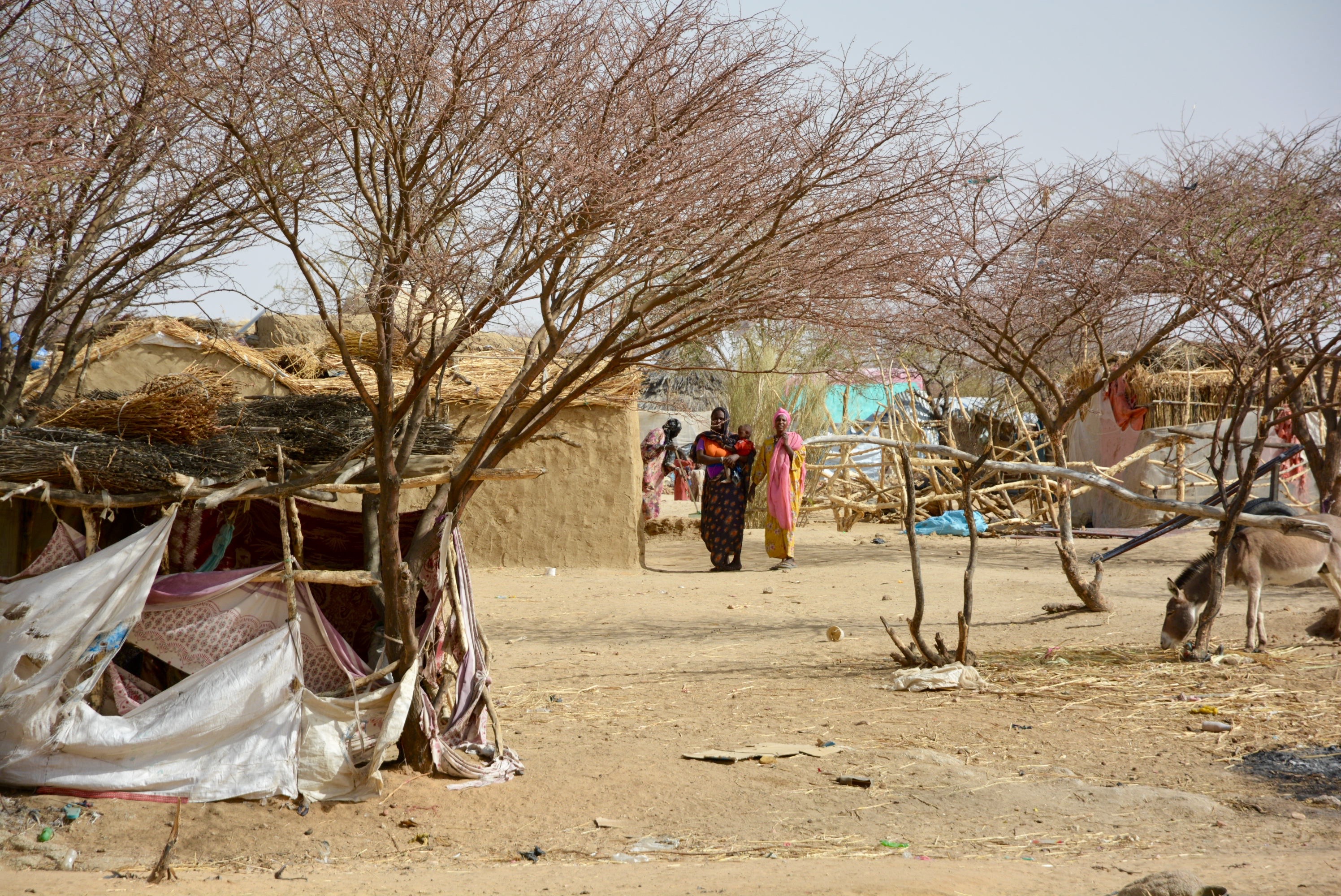 A camp for displaced people, near Tina, North Darfur, in April 2023
