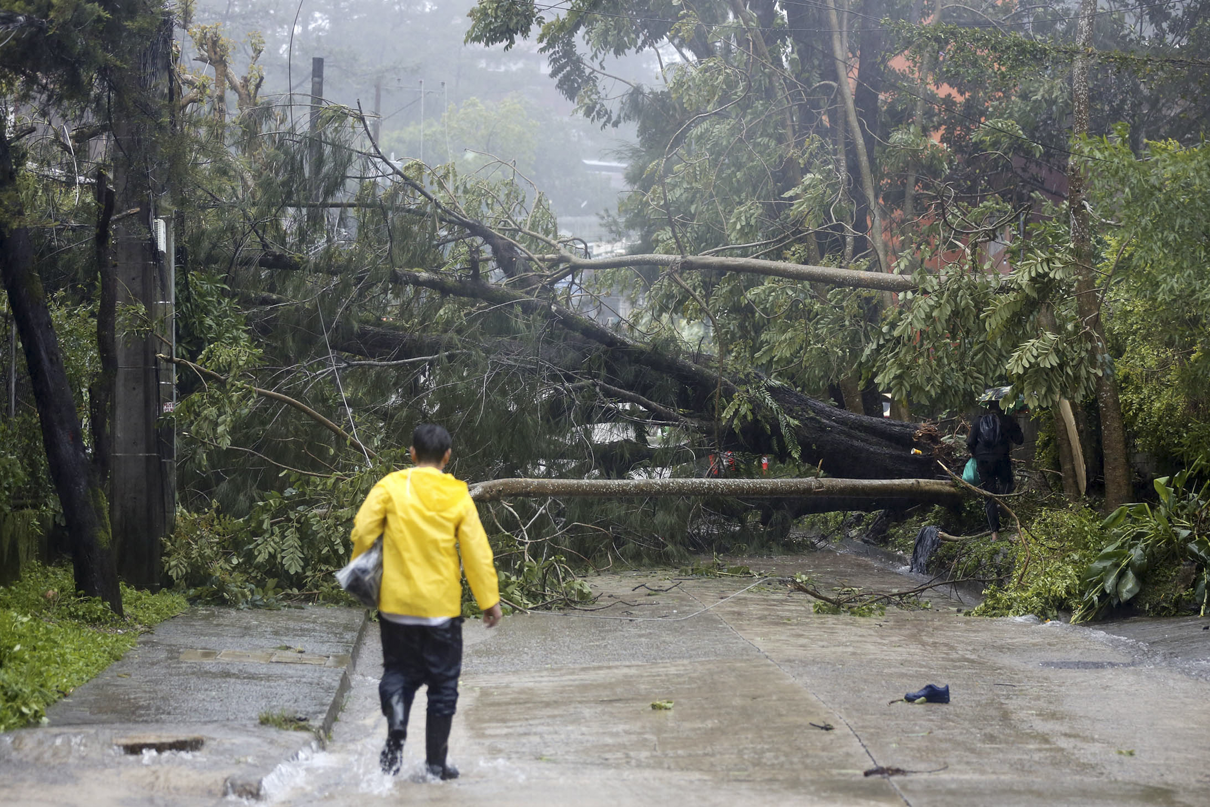 typhoon