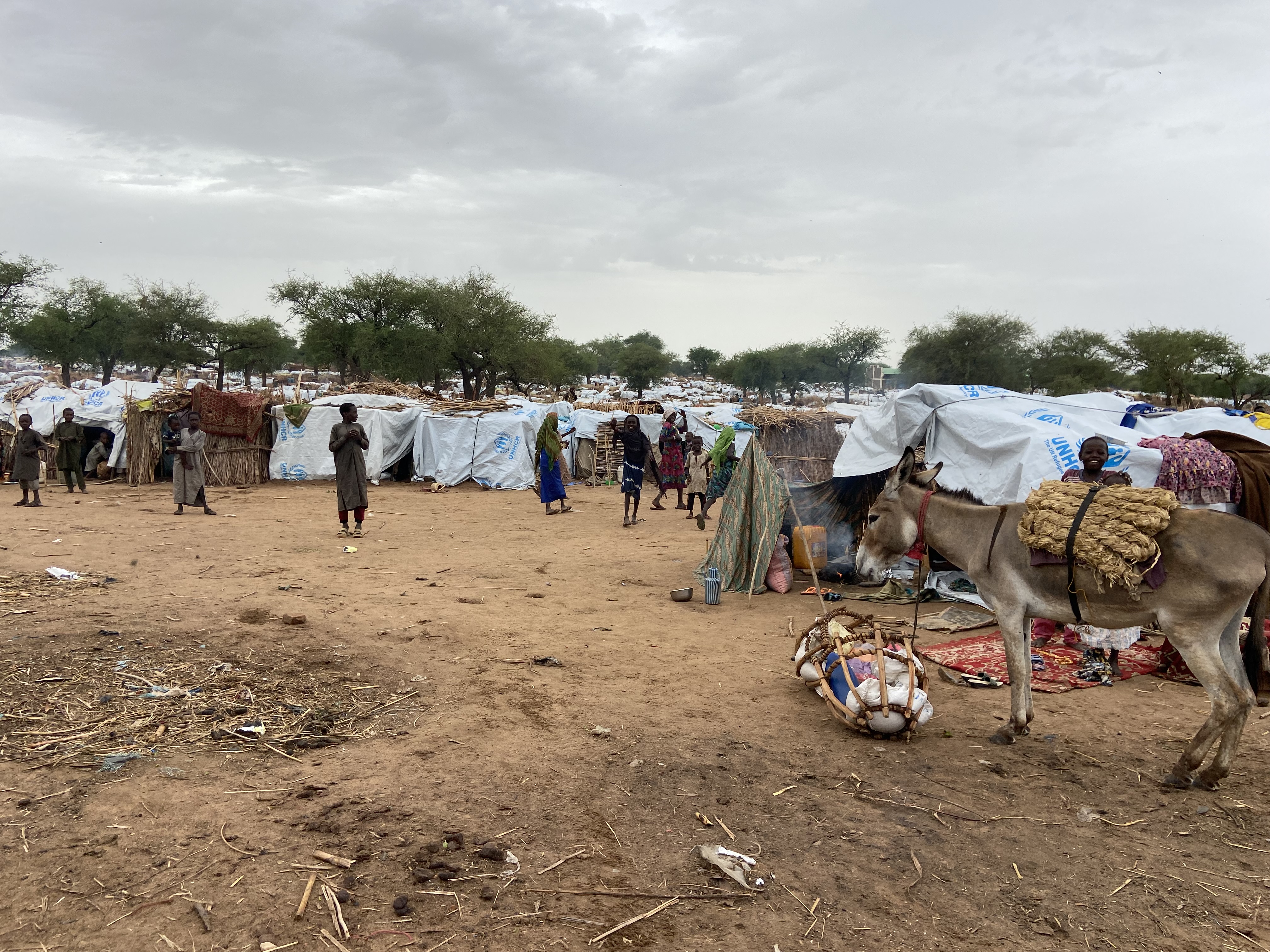 Concern Worldwide has established a mobile health and nutrition clinic at a camp near the Sudan-Chad border [Courtesy of Concern Worldwide]