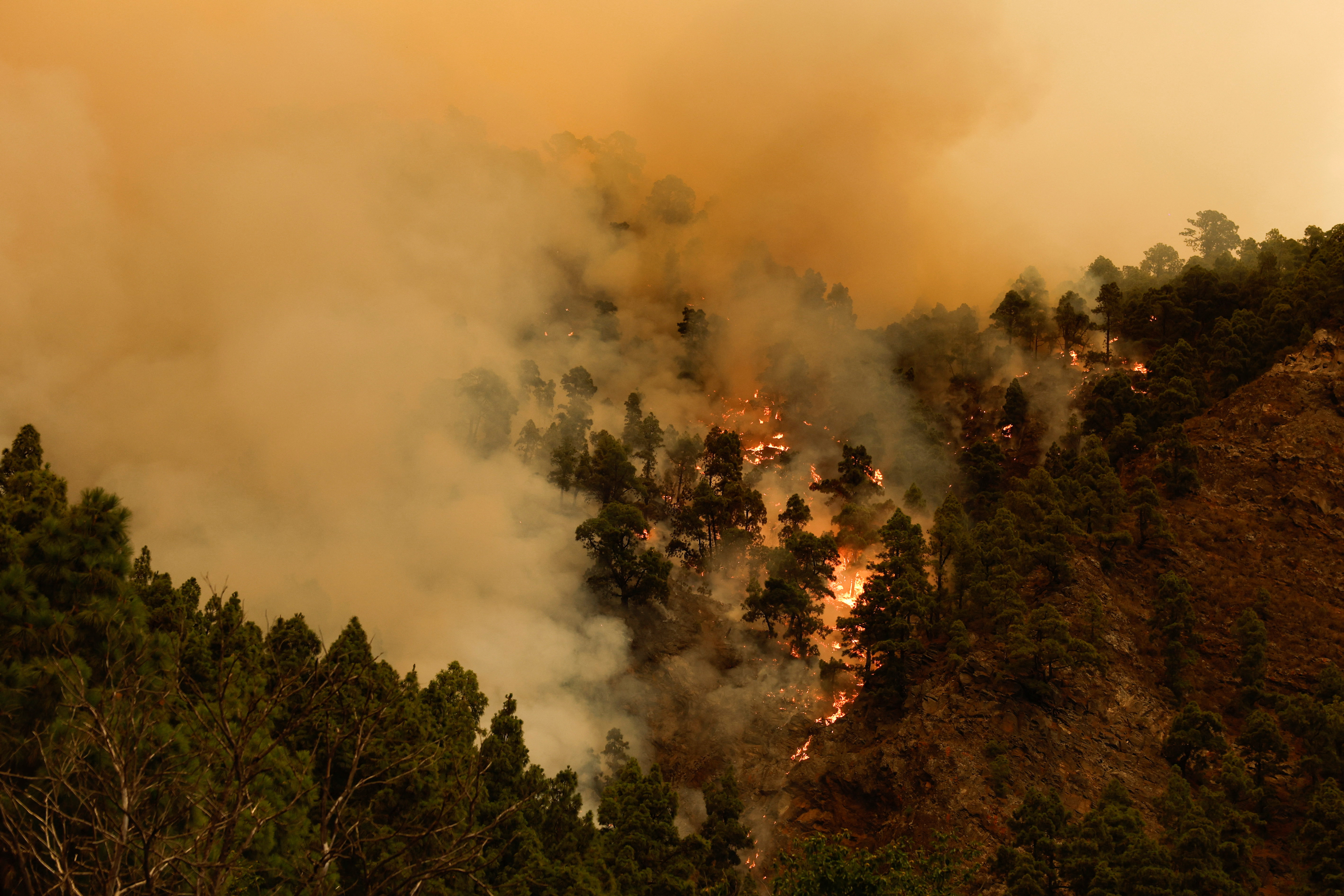 Tenerife wildfire