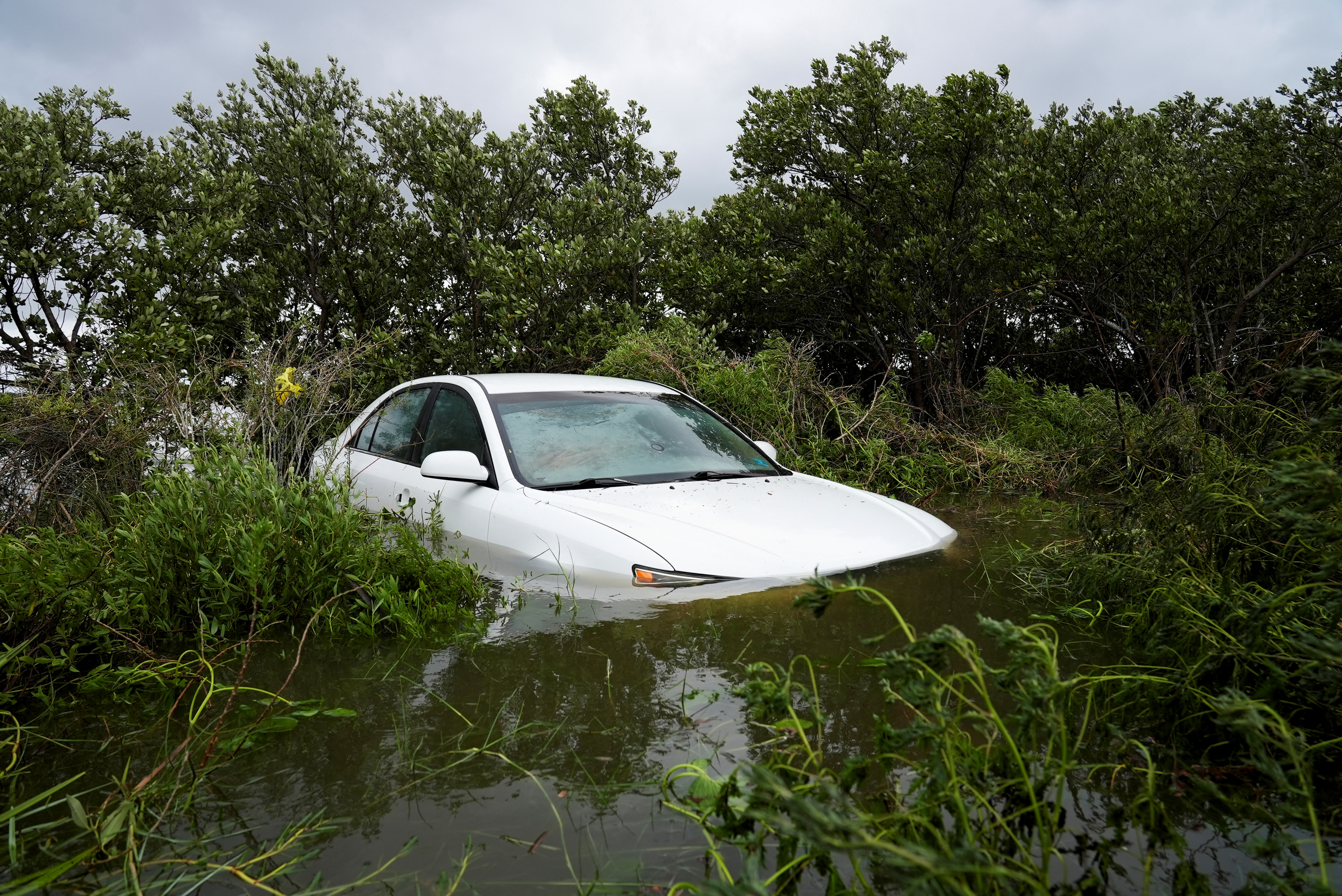 Hurricane Idalia unleashes fury on Florida