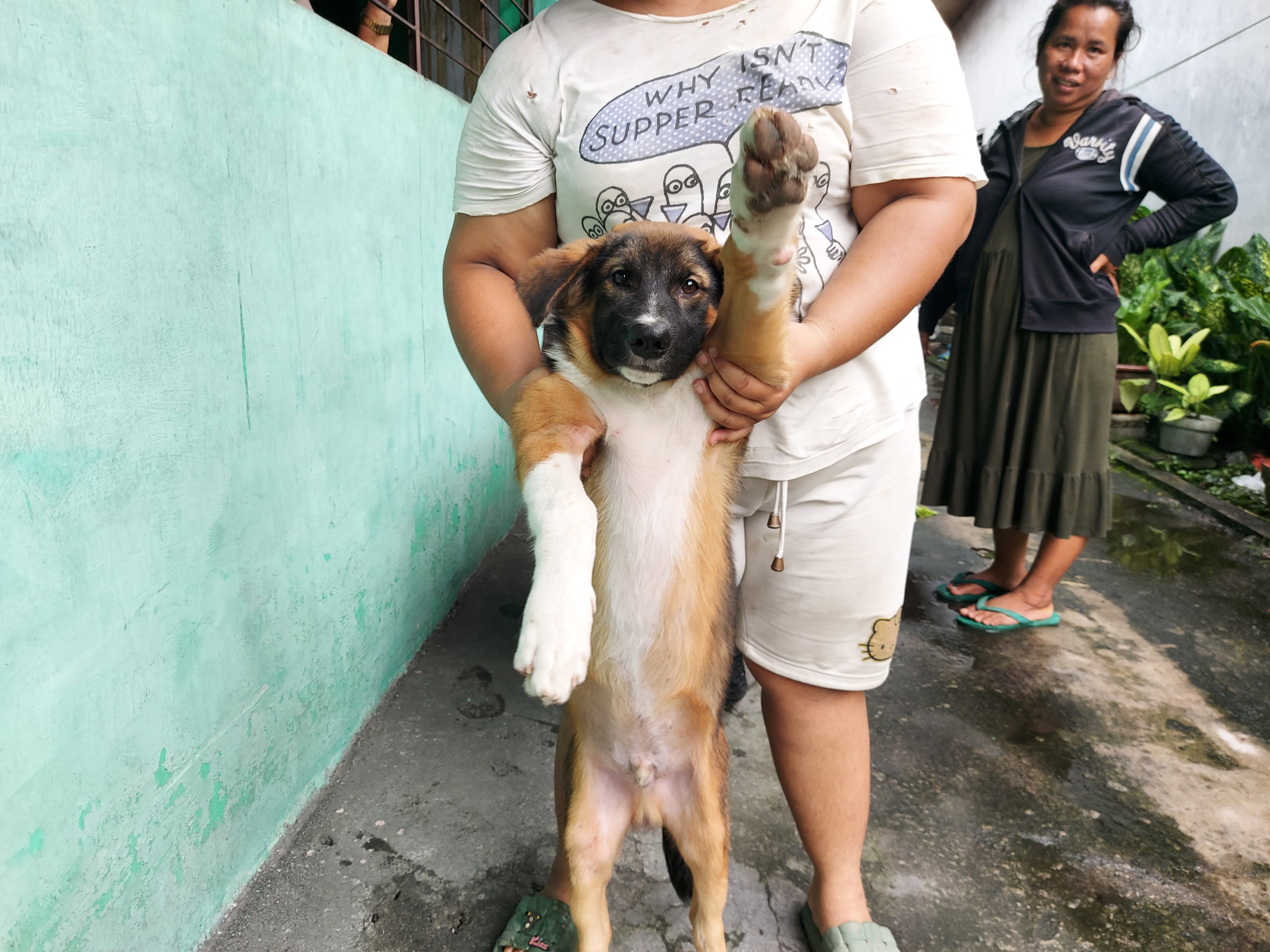 Former pet Bimbim was recently sold to Mechio Restaurant for slaughter