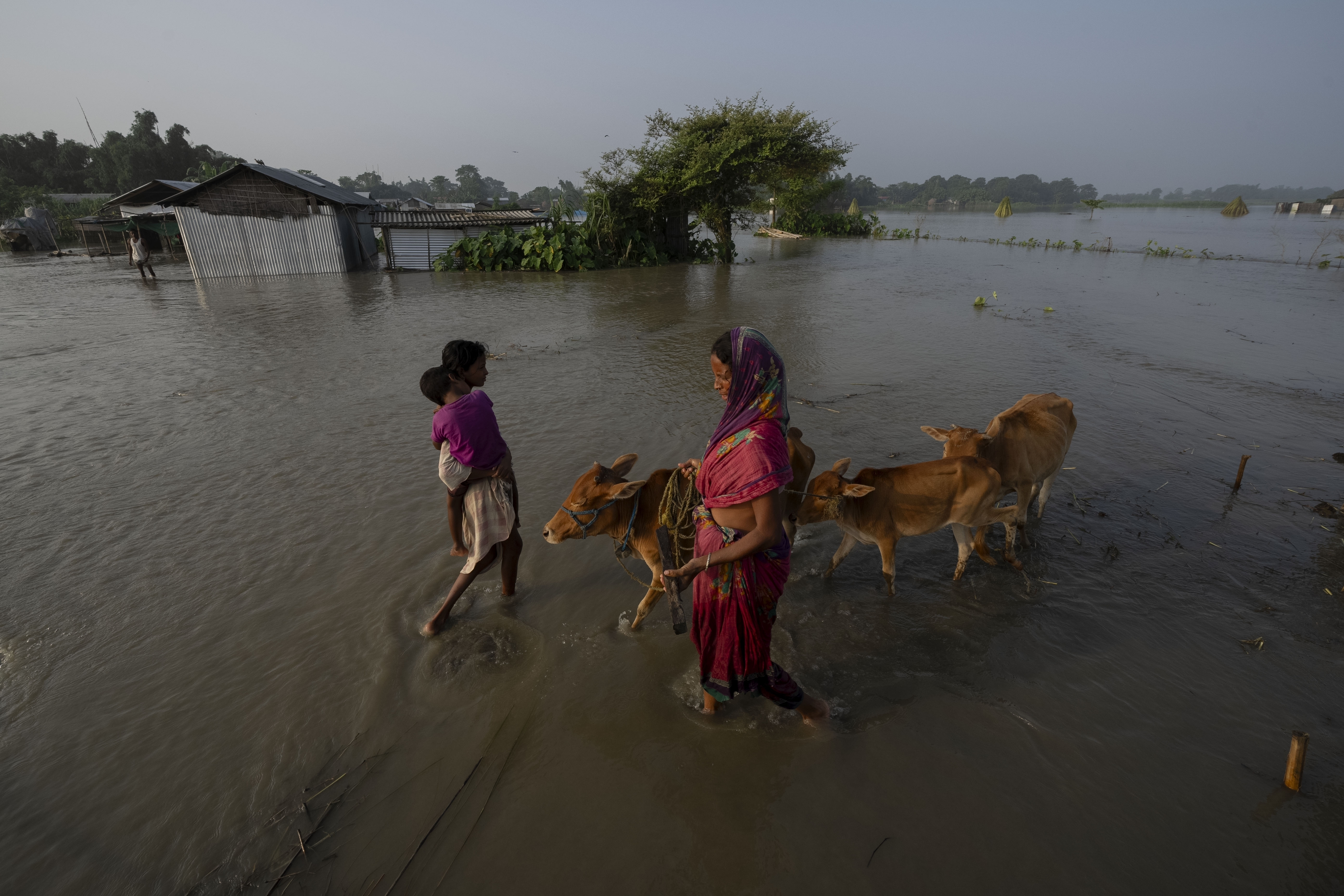 India River Islands