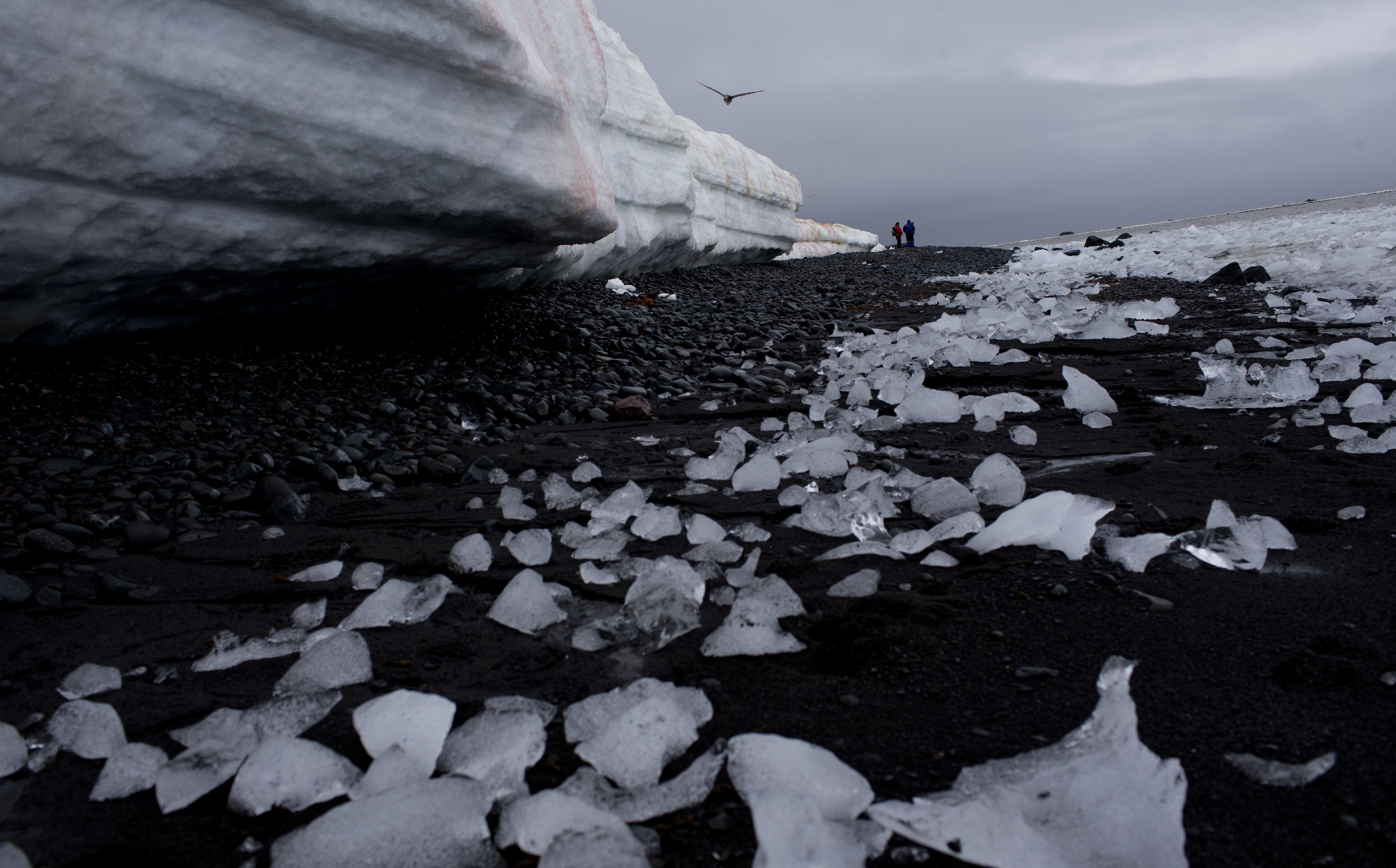 pieces of thawing ice