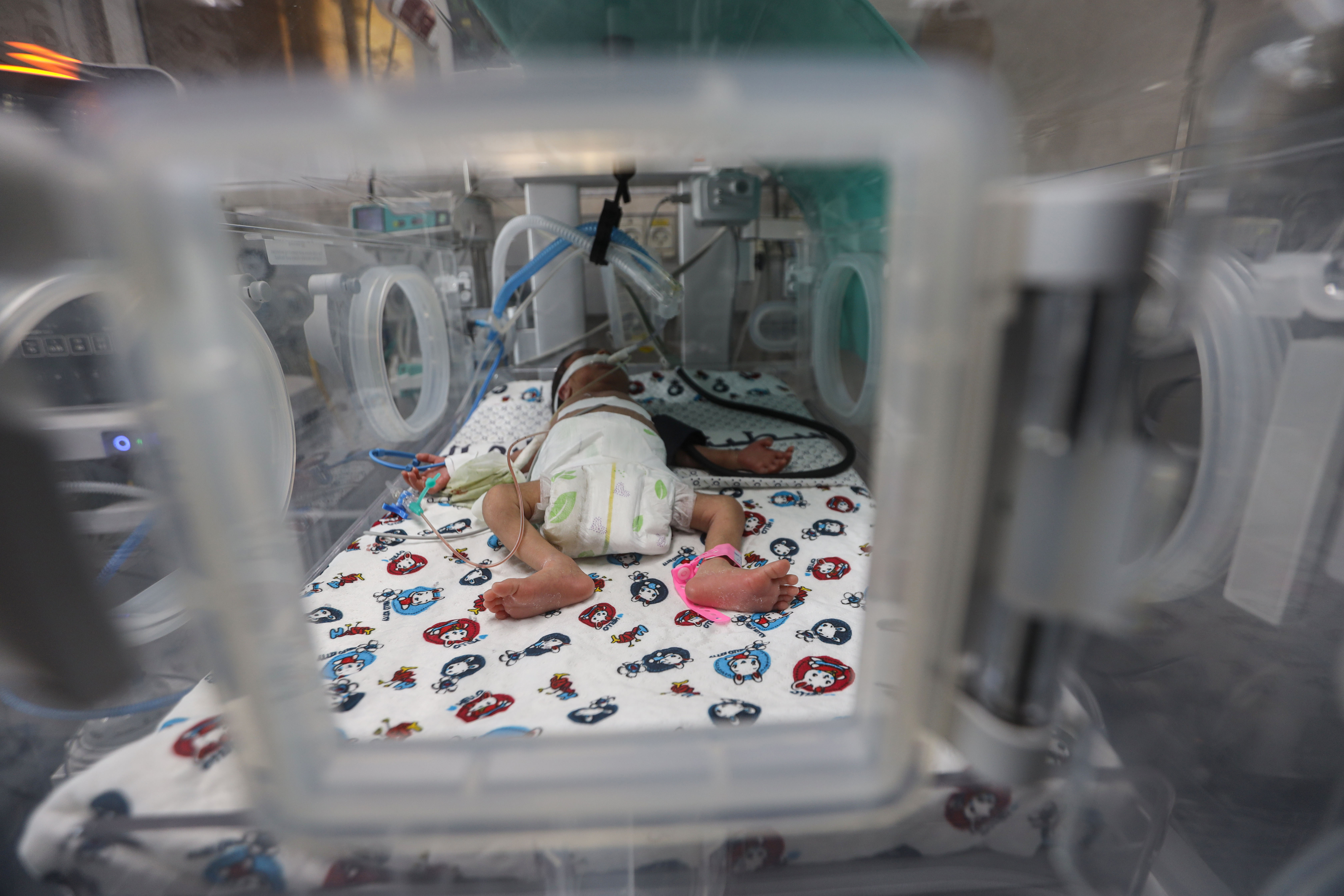 Son of Maryam al-Harsh, a premature baby whose entire family was killed in an Israeli air attack on their home on October 13