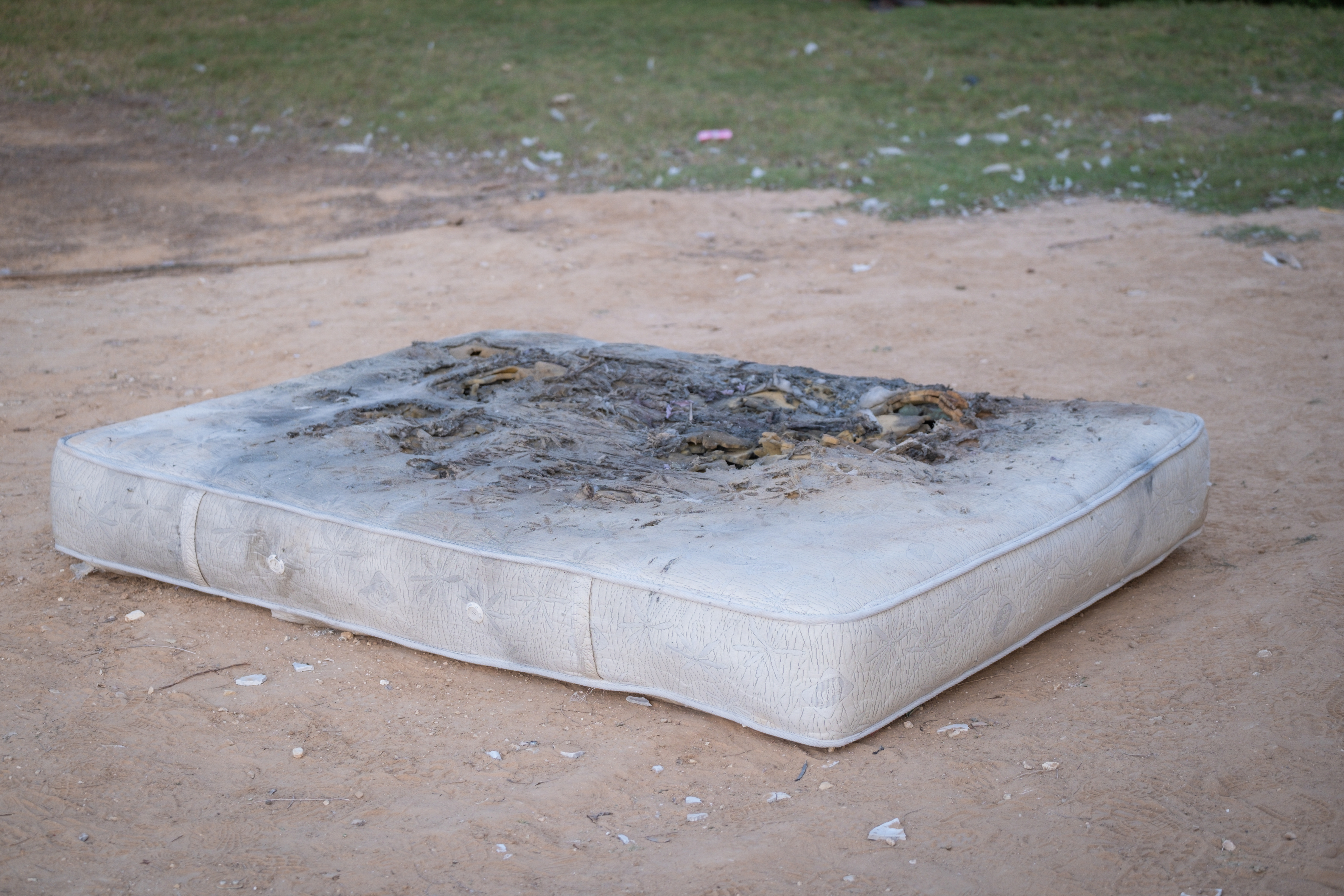 Kibbutz clean up