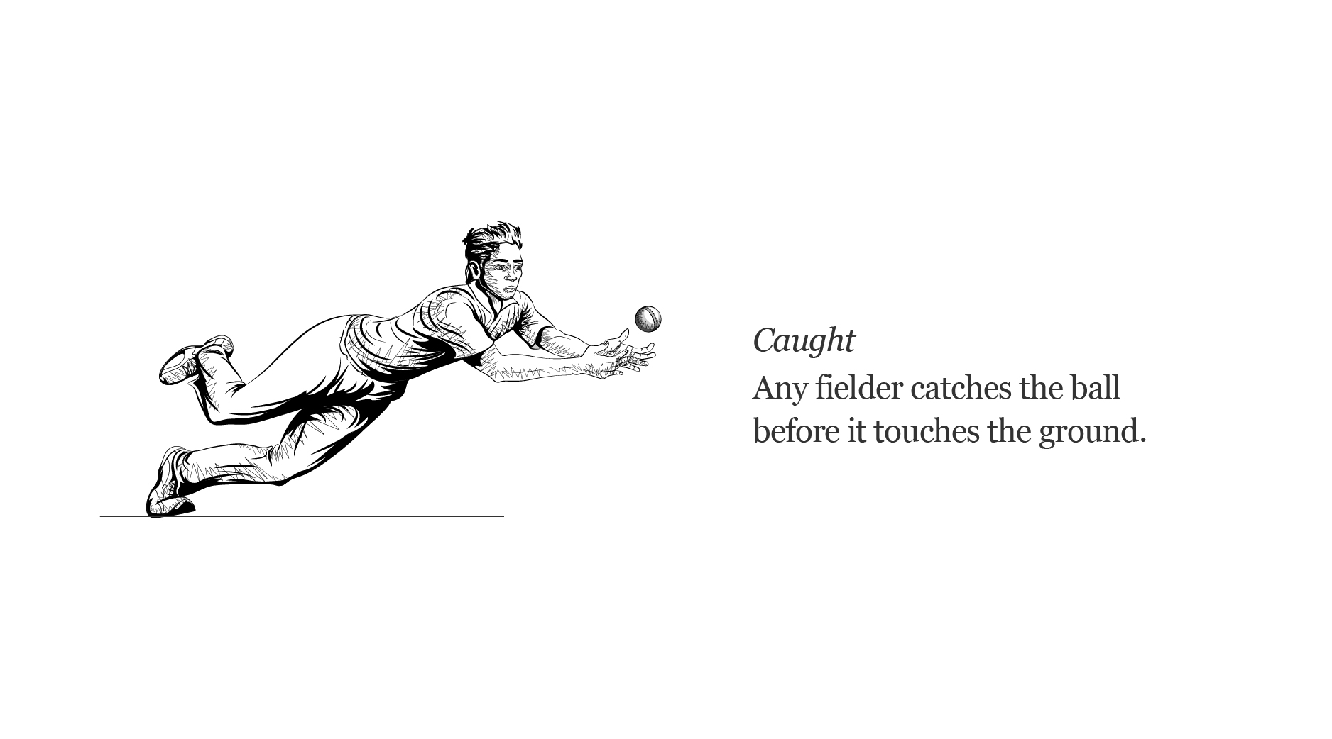 Interactive_Illustrated guide to cricket_caught