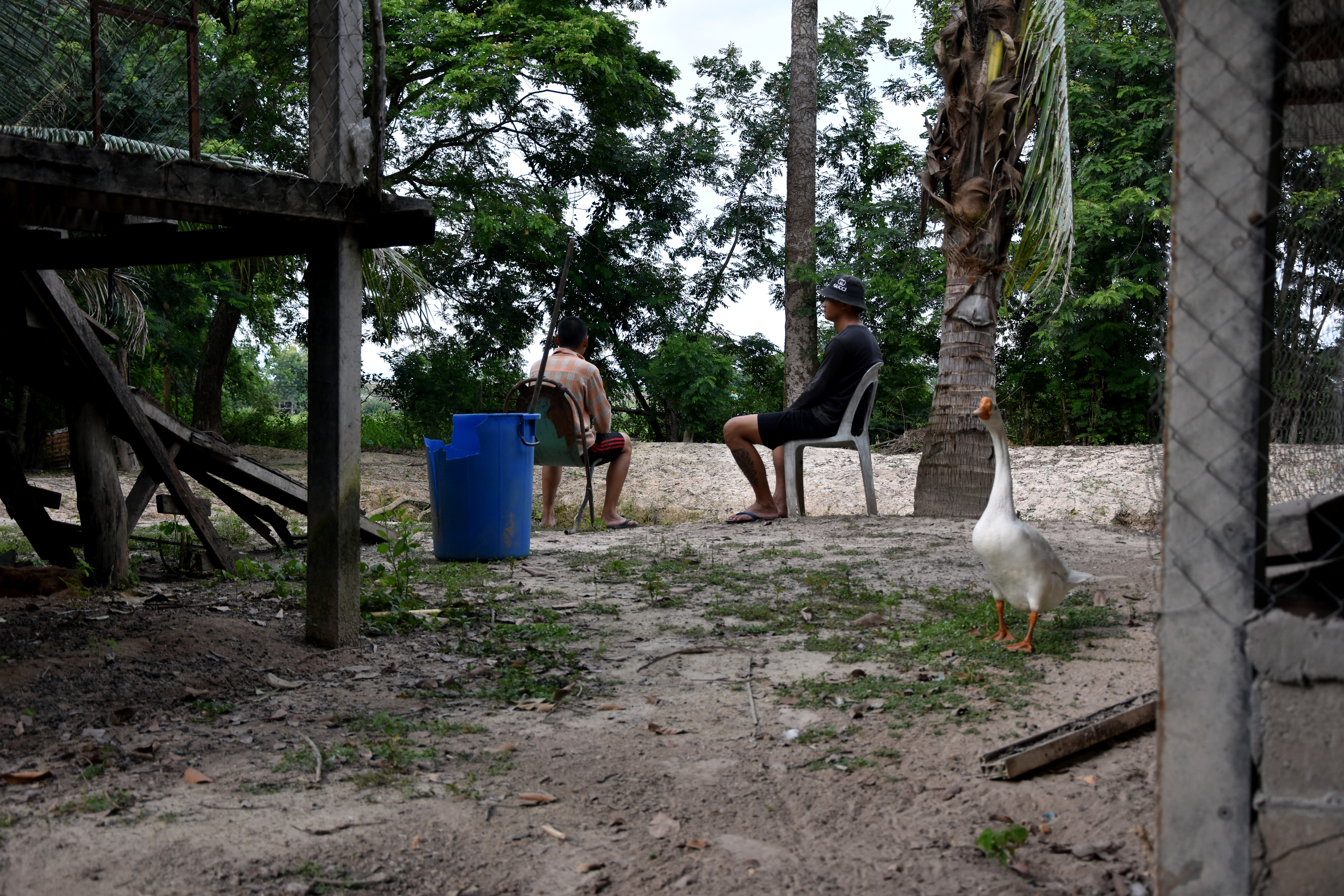 Residents at the Transformation Center are given daily tasks such as farm work as part of their treatment programme