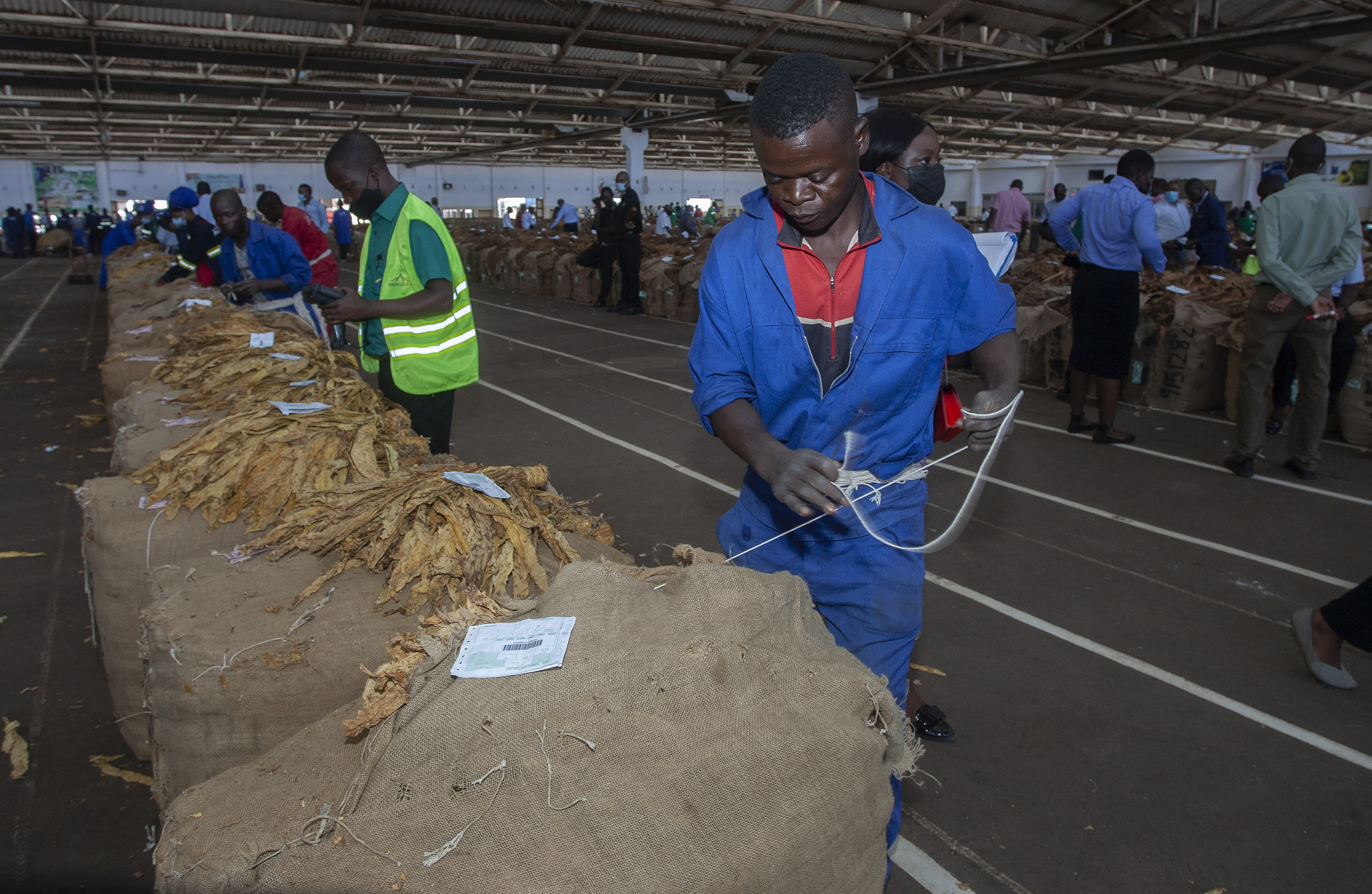 A worker sews a bale of purchased tobacco at the Lilongwe Auction Floors
