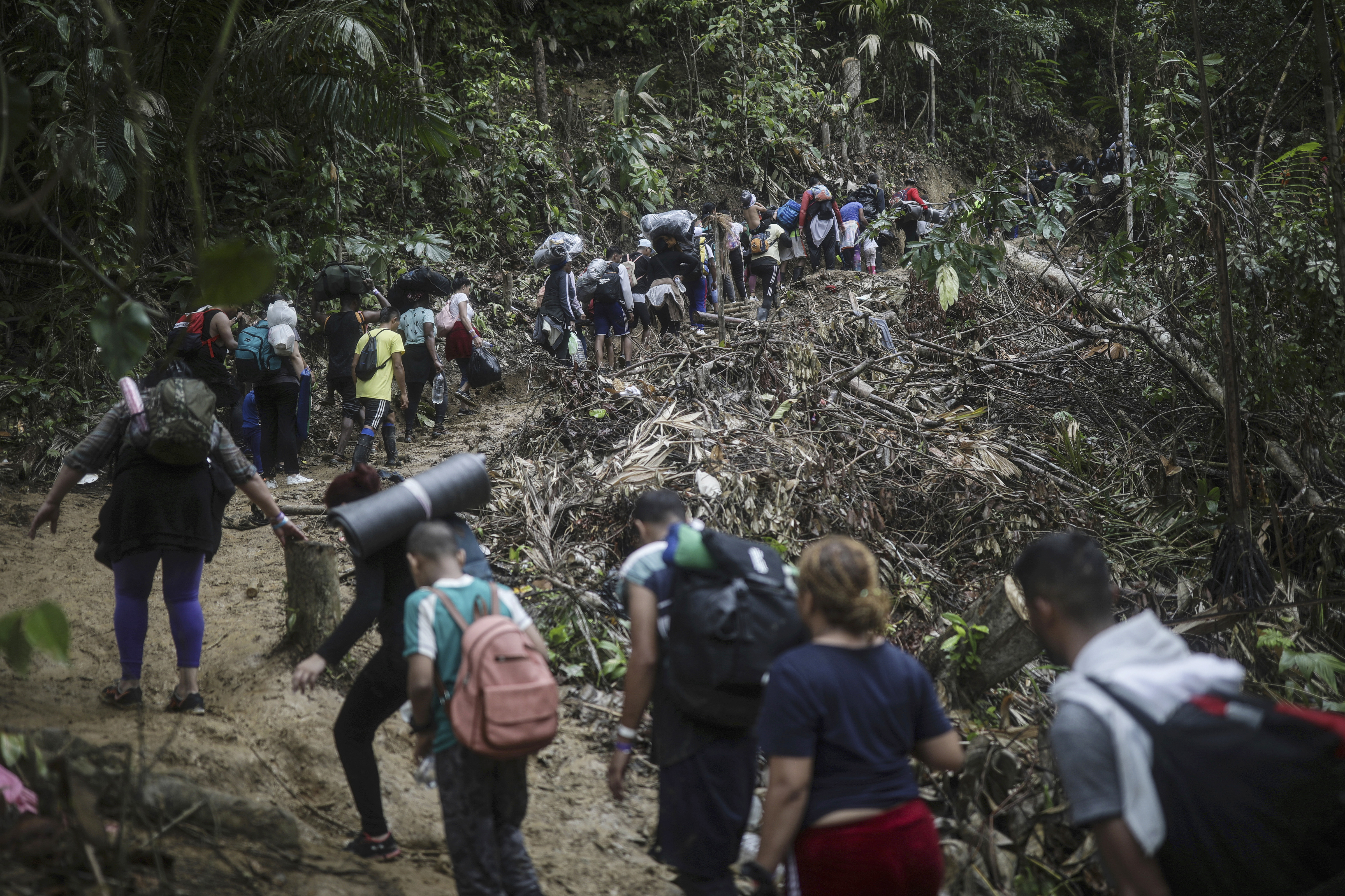 Migrants and asylum seekers file through the Darien Gap, a perilous stretch of jungle patrolled by criminal groups