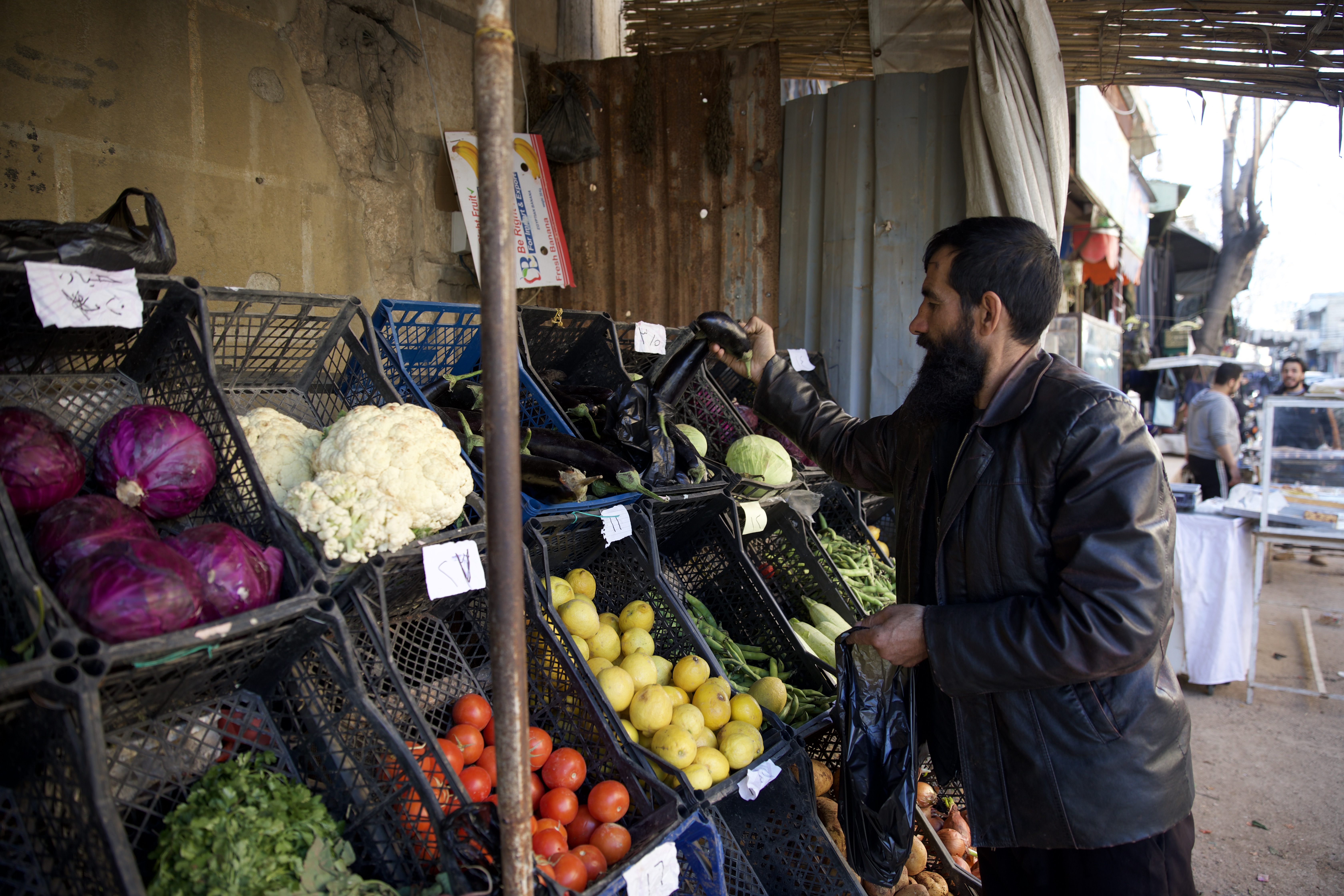 Khaled was dispatched quickly to the market to find the vegetables that would be needed for maqali