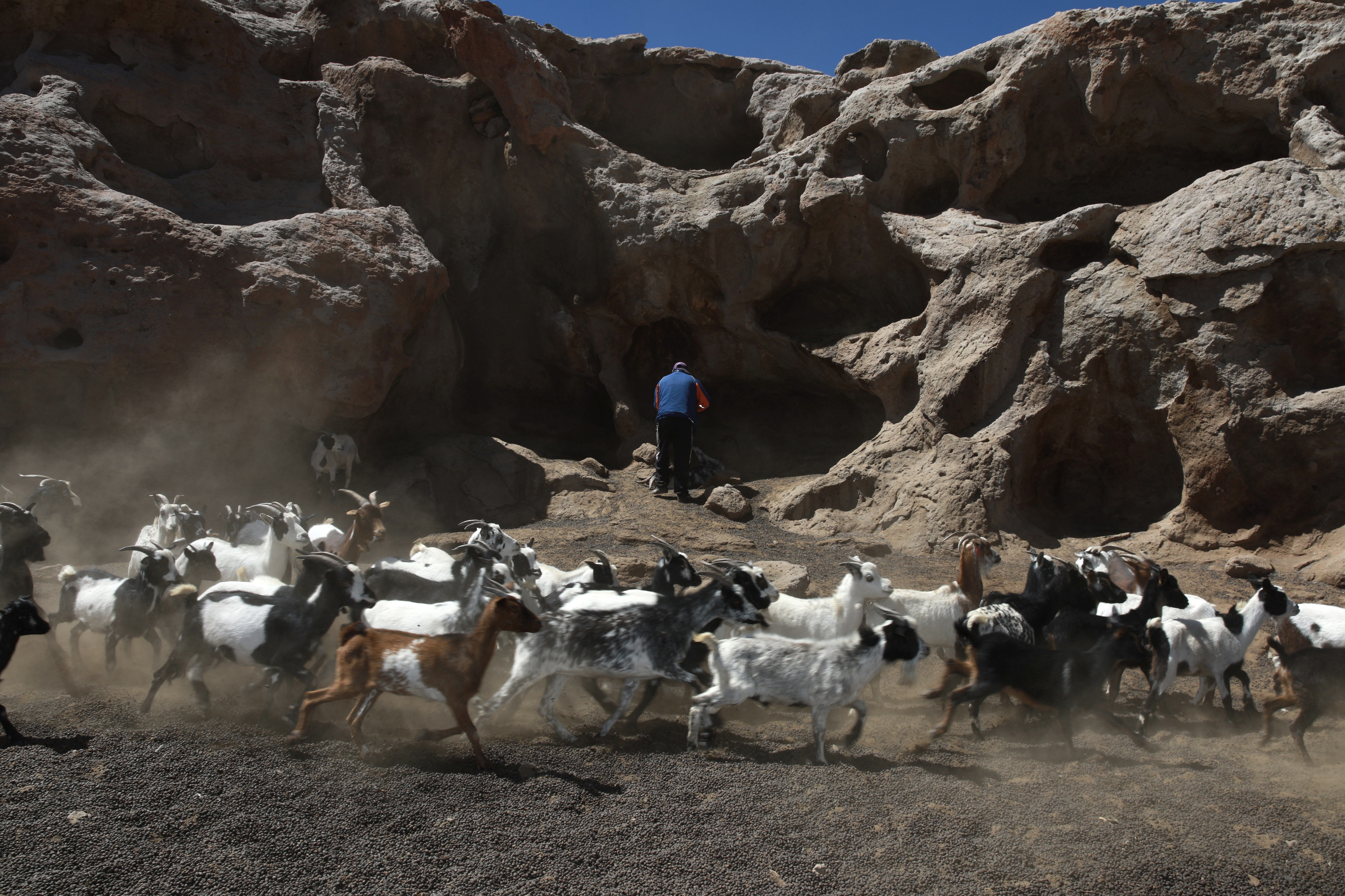 A shepherd prepares medicine for an ill sheep in the rural area close to the salt flats of Olaroz-Cauchari in the municipality of Susques, Argentina, where lithium is extracted