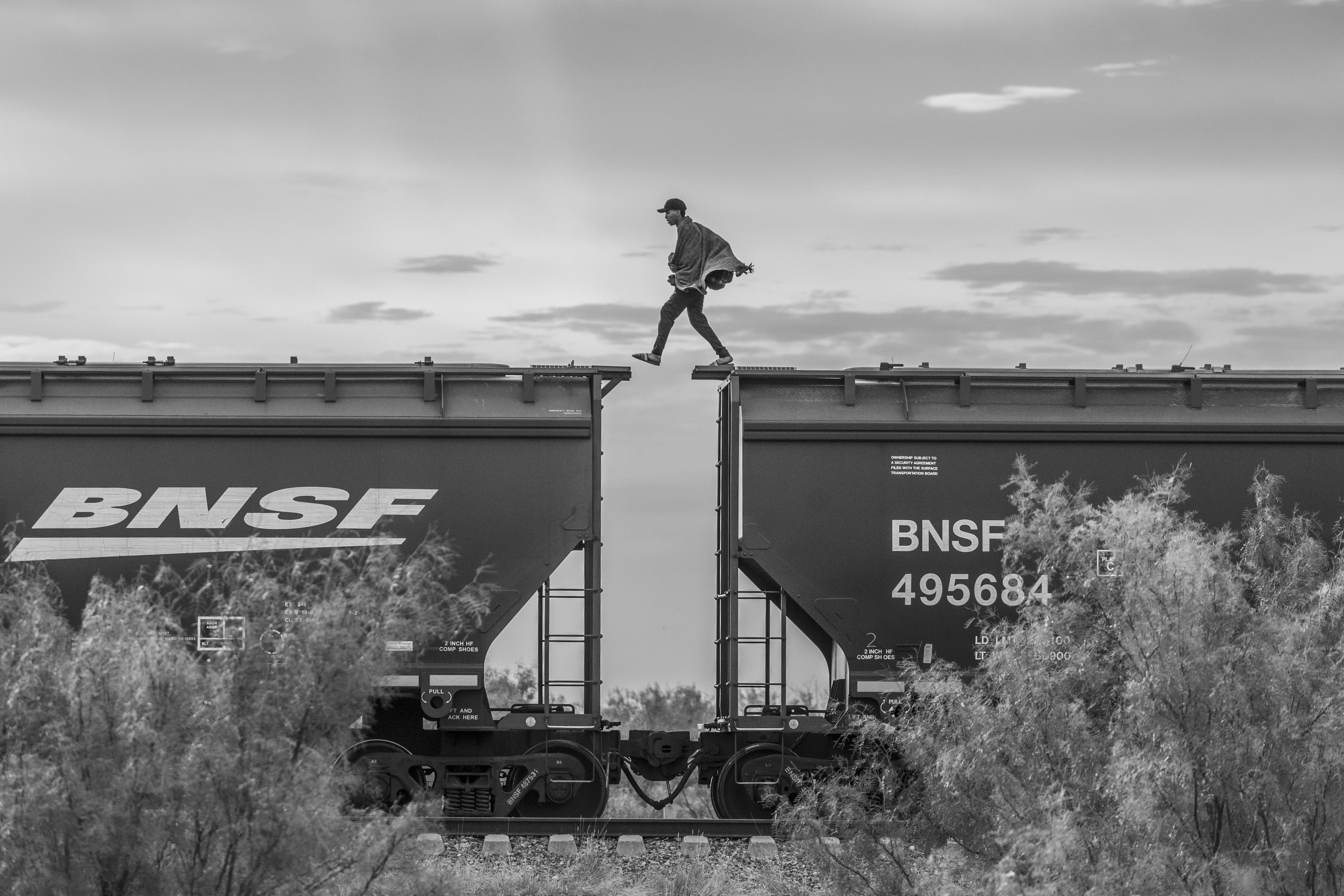 World Press Photo Winners