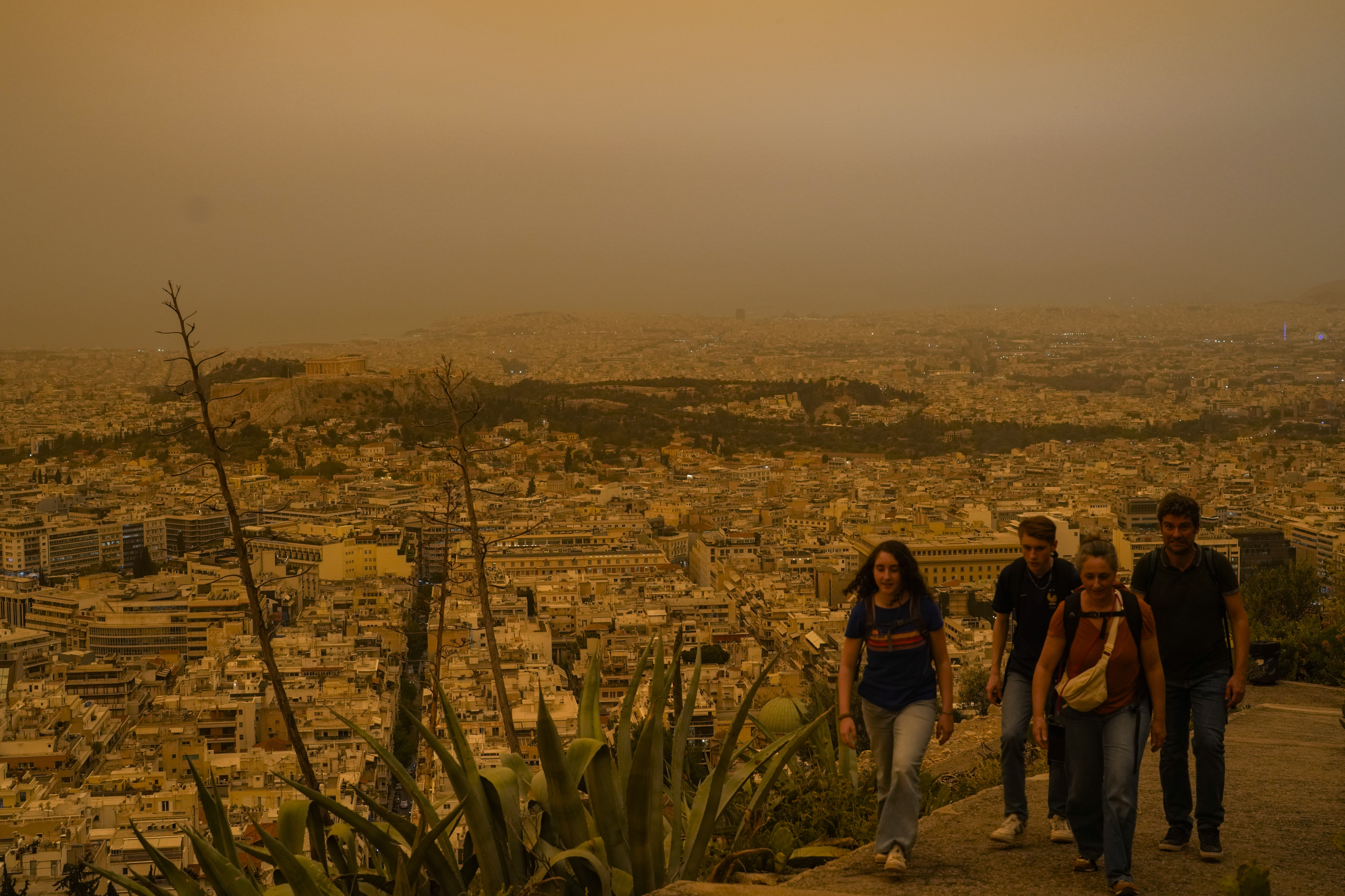 Saharan dust