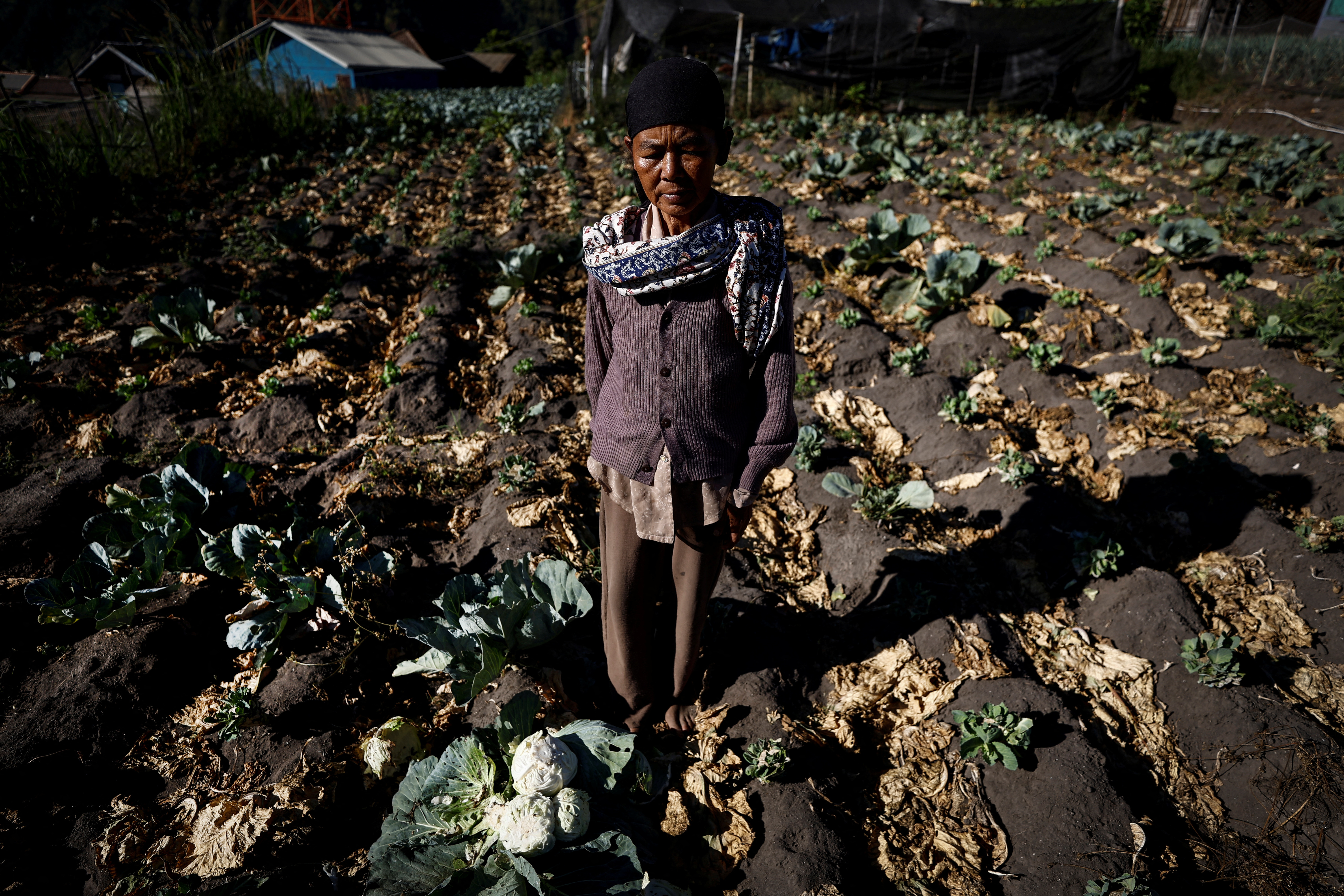 ndonesia's Tenggerese pray for rain as climate change threatens crops
