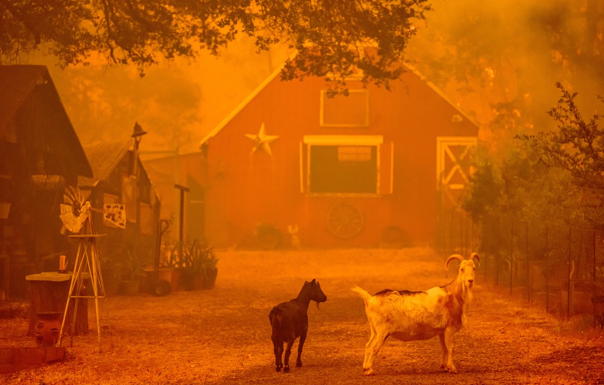 Thousands told to flee raging California wildfire