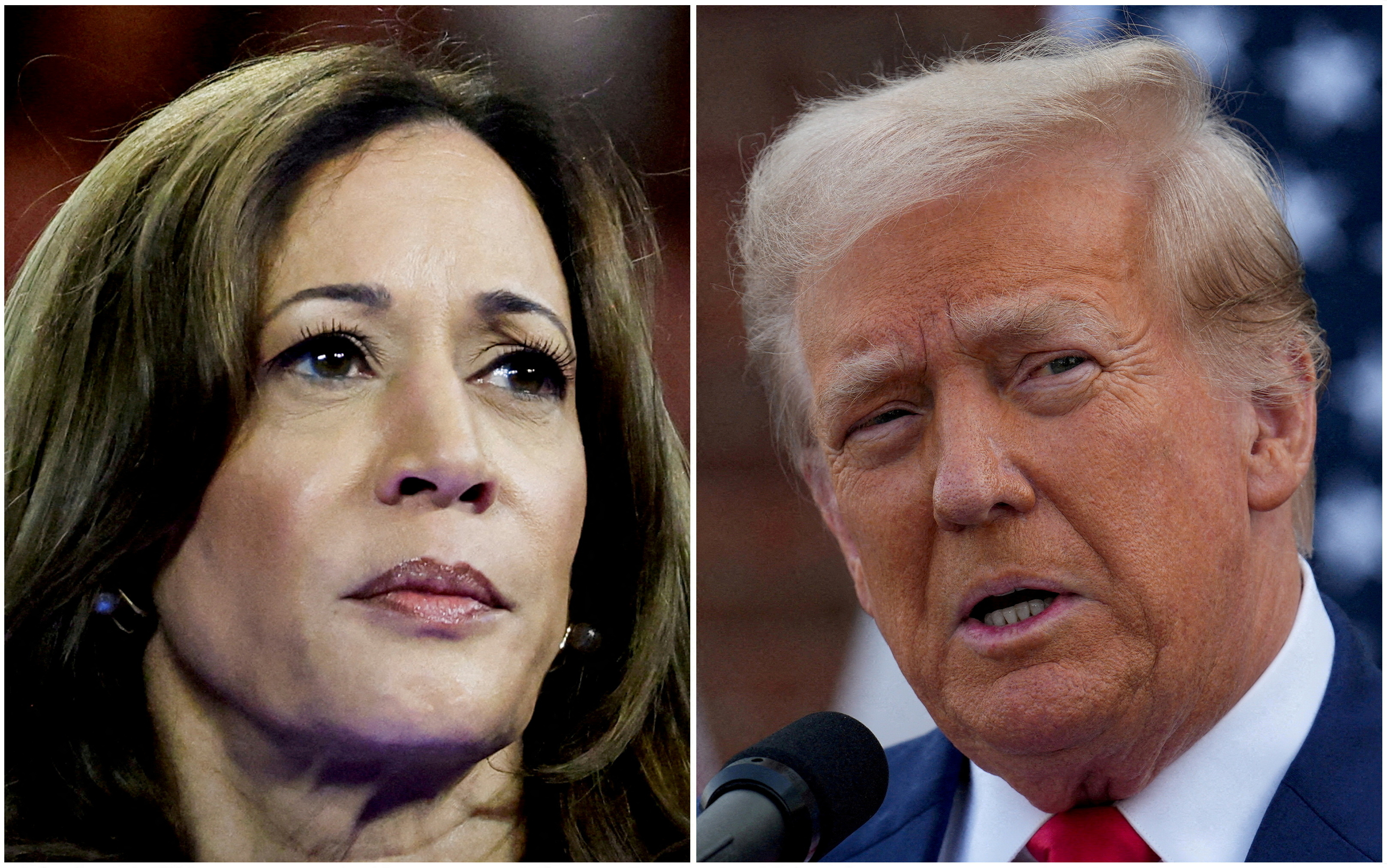 Trump Harris