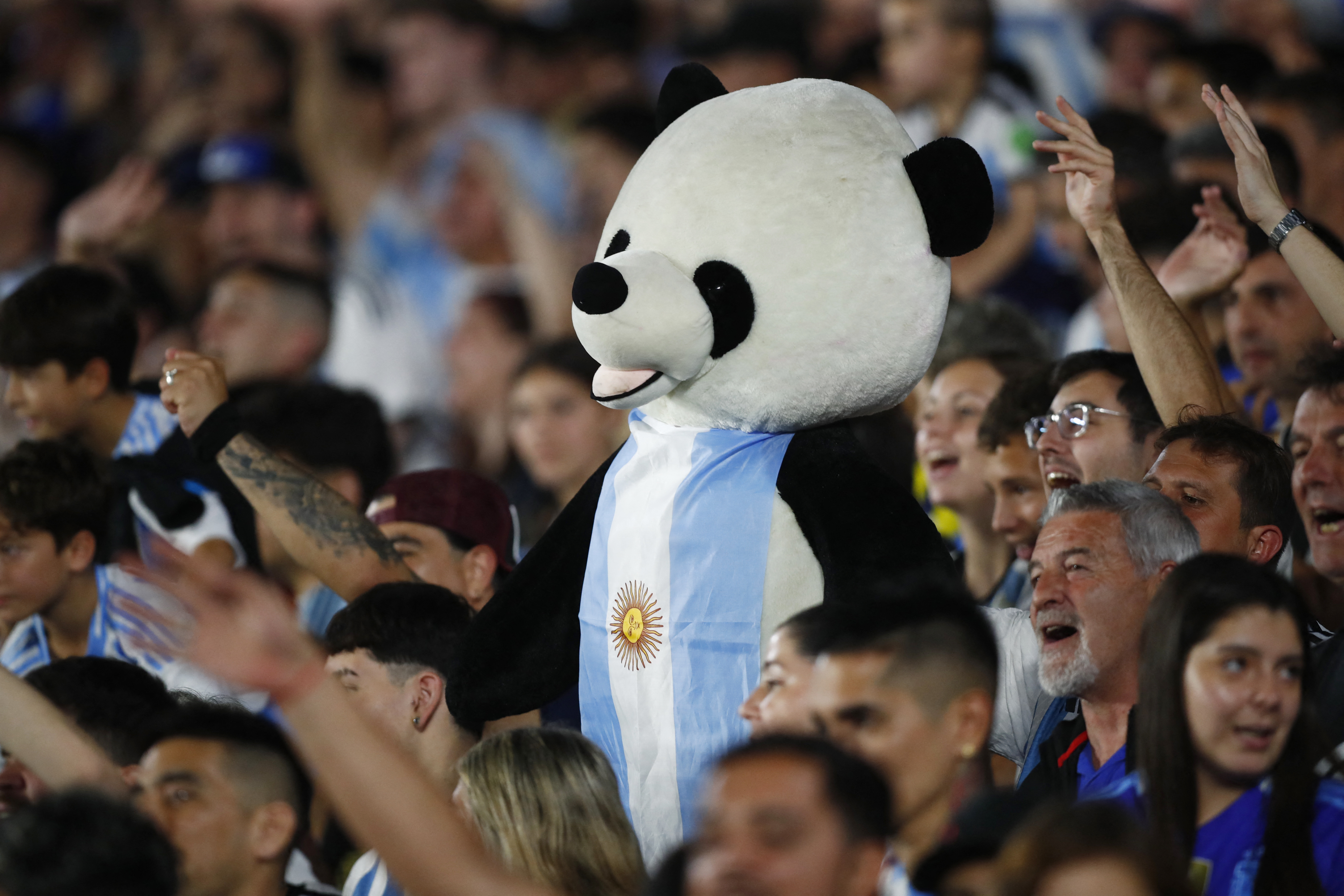 Argentina fans inside the stadium during the match