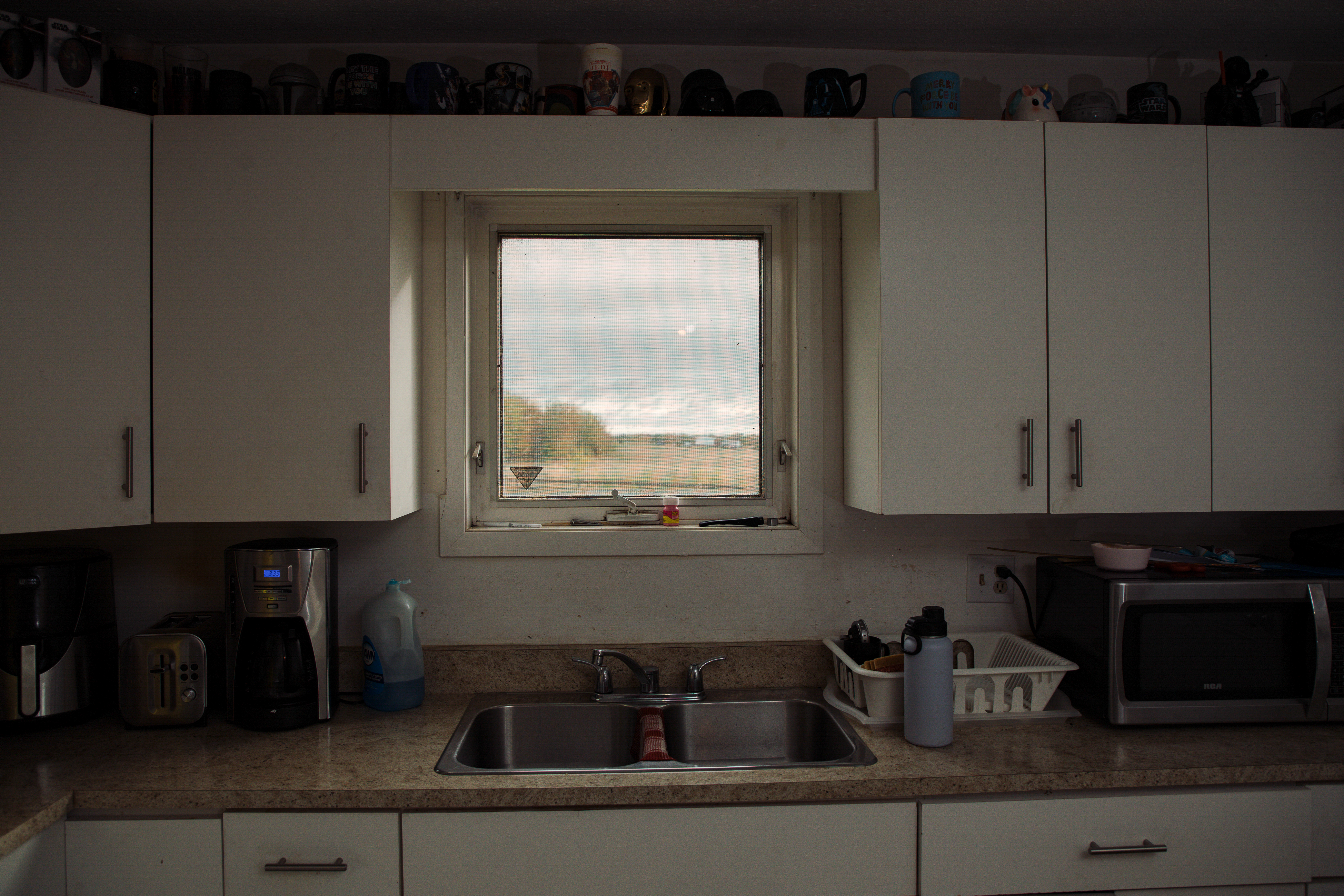 A view of trees and a field through a kitchen window