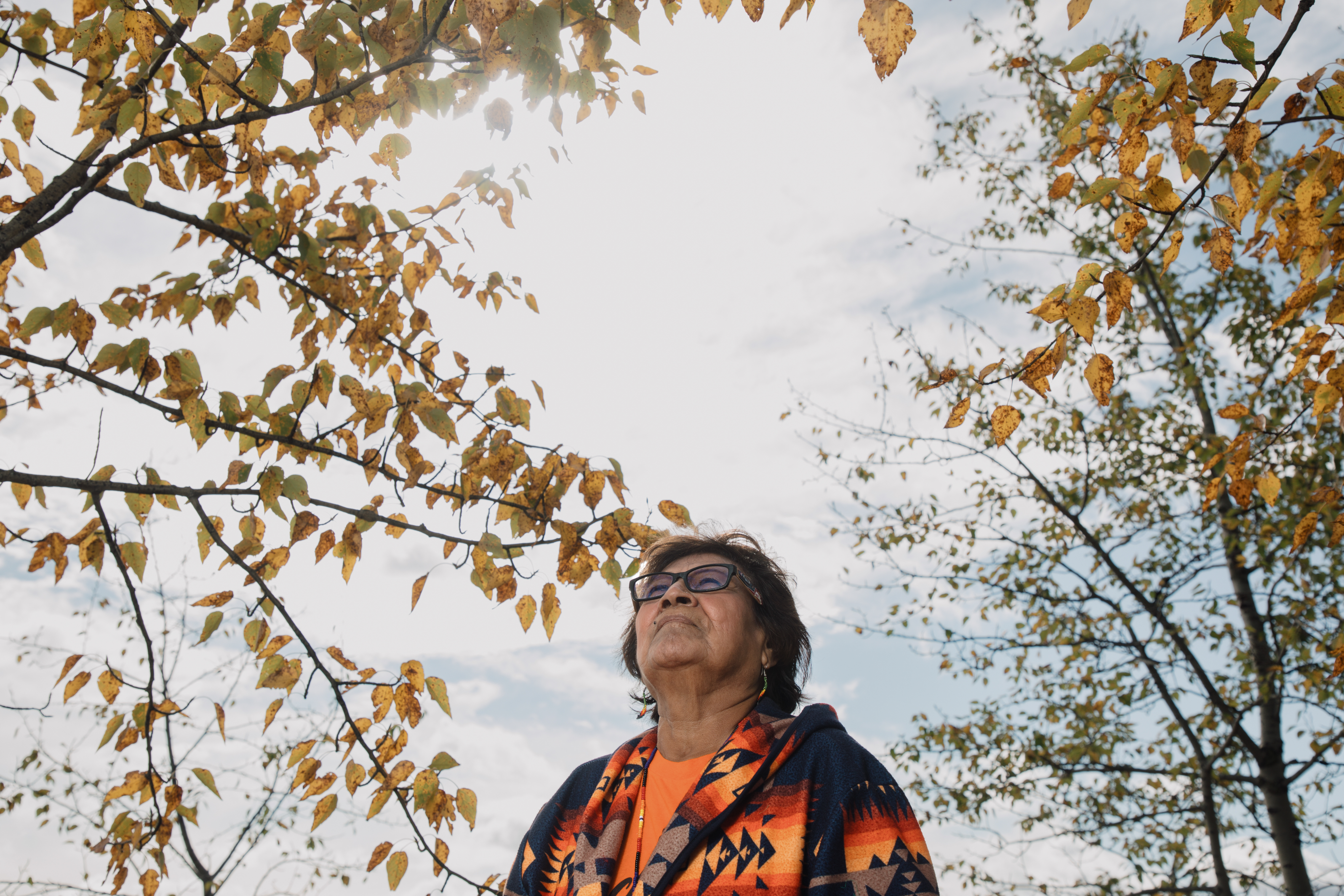 Martha Cardinal looks up towards the sky as tree branches with golden leaves are seen above her