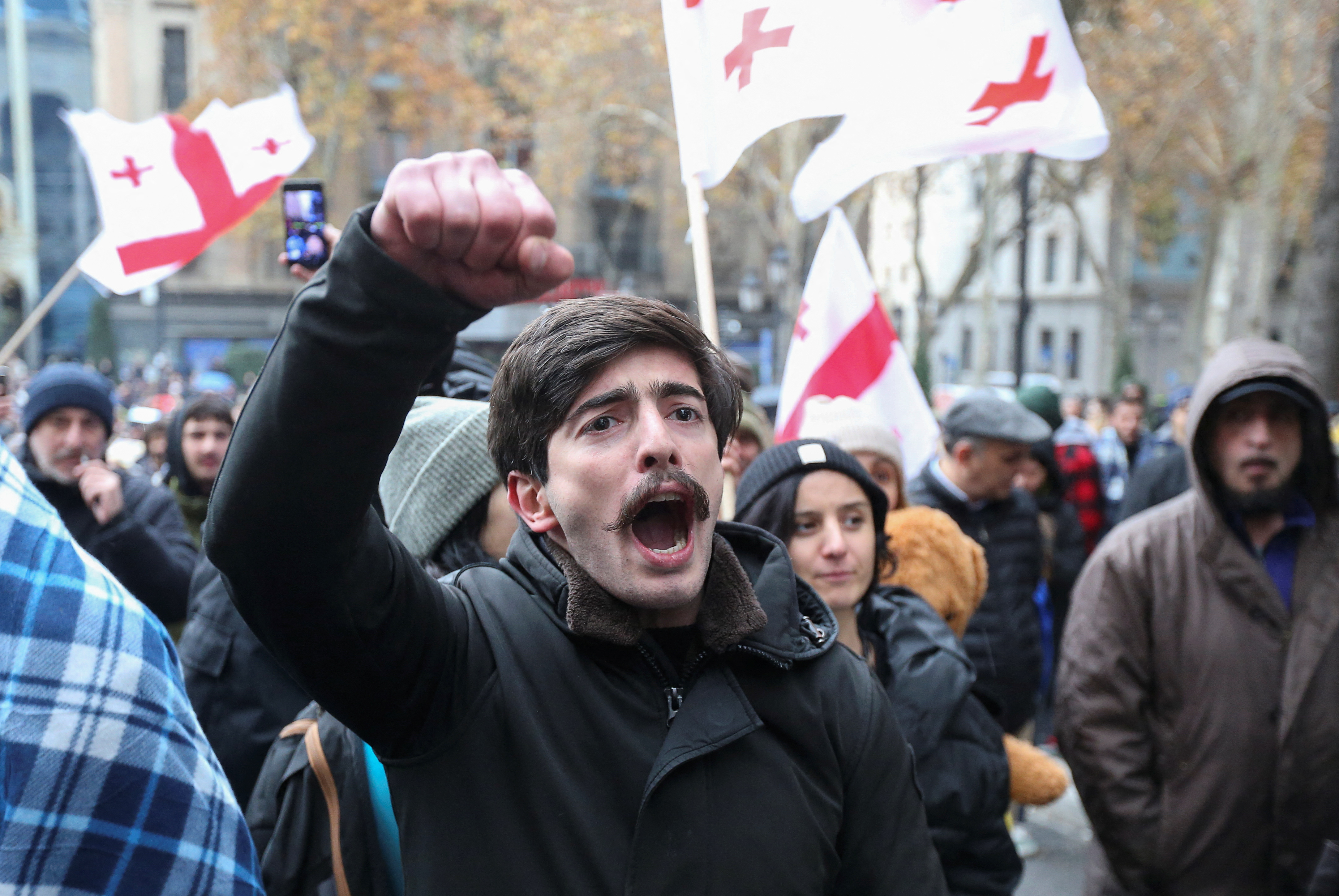 Supporters of Georgia's opposition