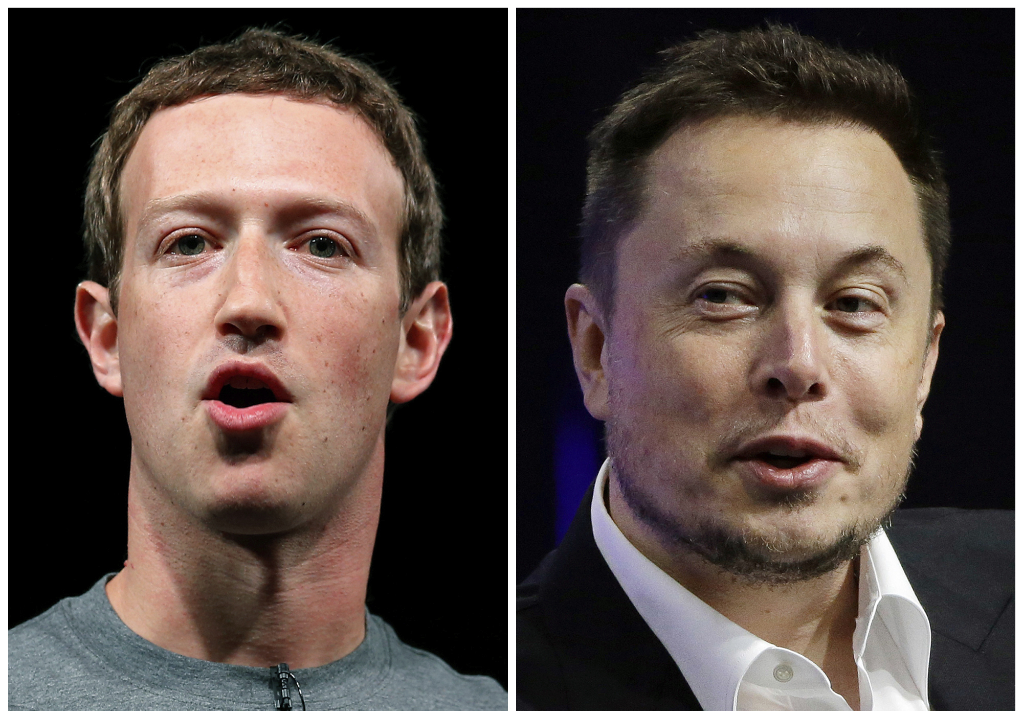 Musk Zuckerberg fight