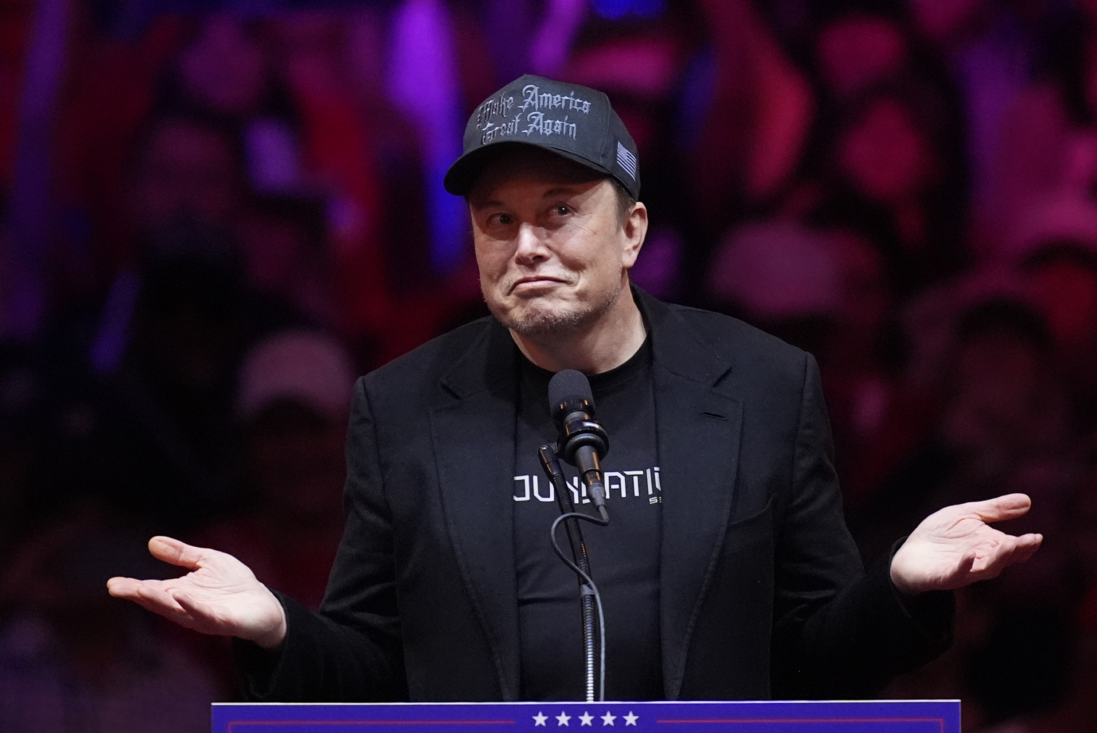 Elon Musk speaks before Trump at a campaign rally at Madison Square Garden in New York on October 27, 2024