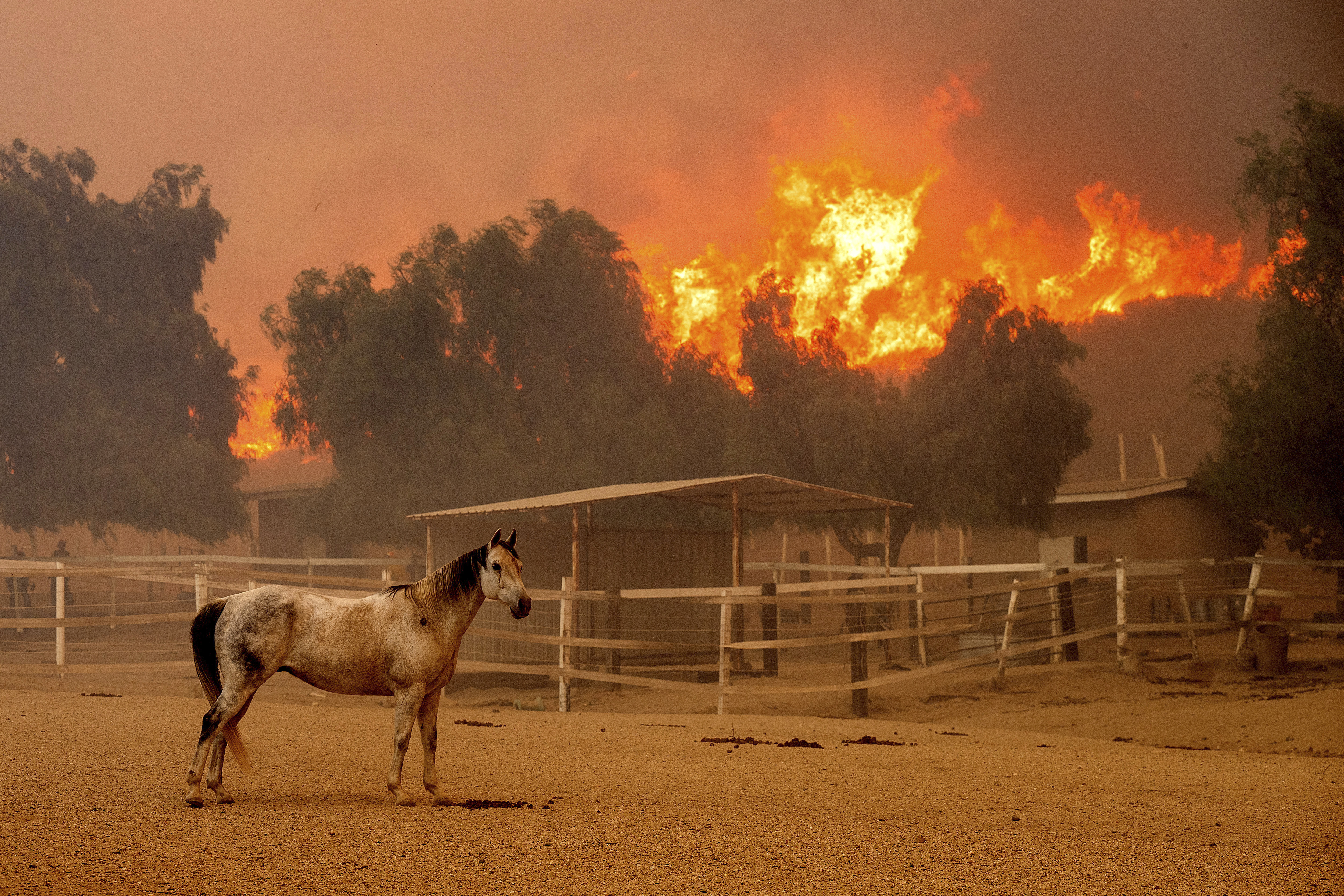 California Winds Wildfires