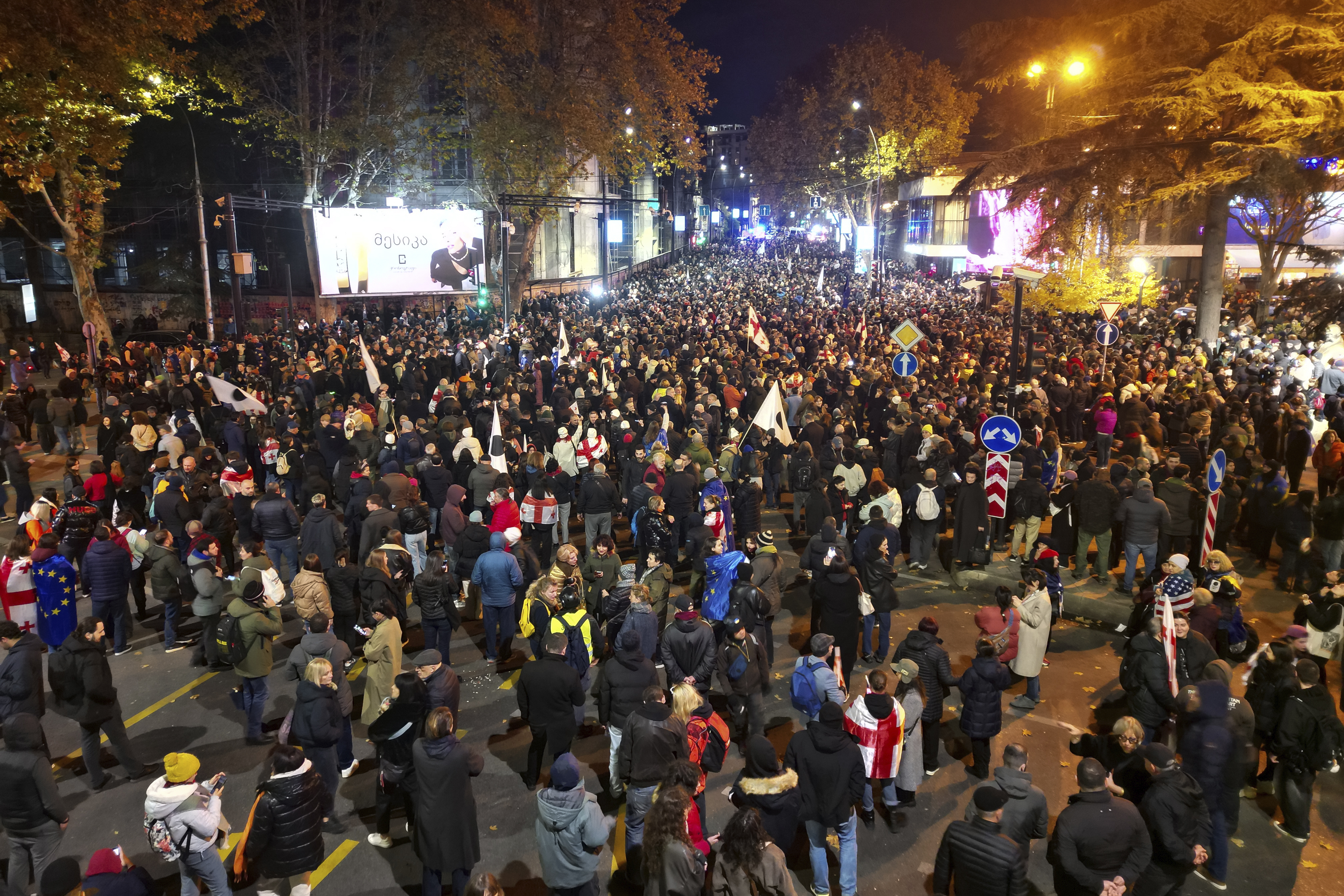 Georgia Opposition Protest