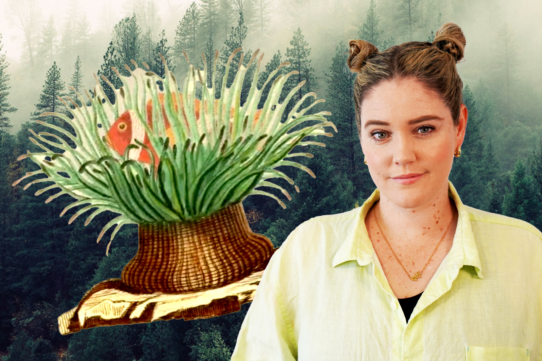 We are part of nature – not apart from it | All Hail