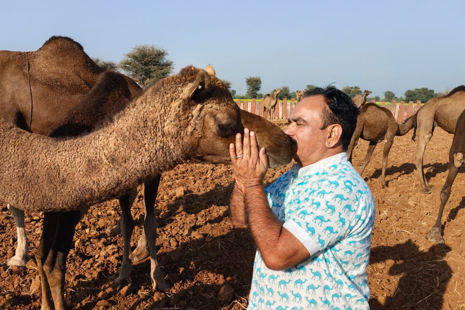 Conservationist Hanuwant Singh Sadri kisses a camel in Pali district, Rajasthan