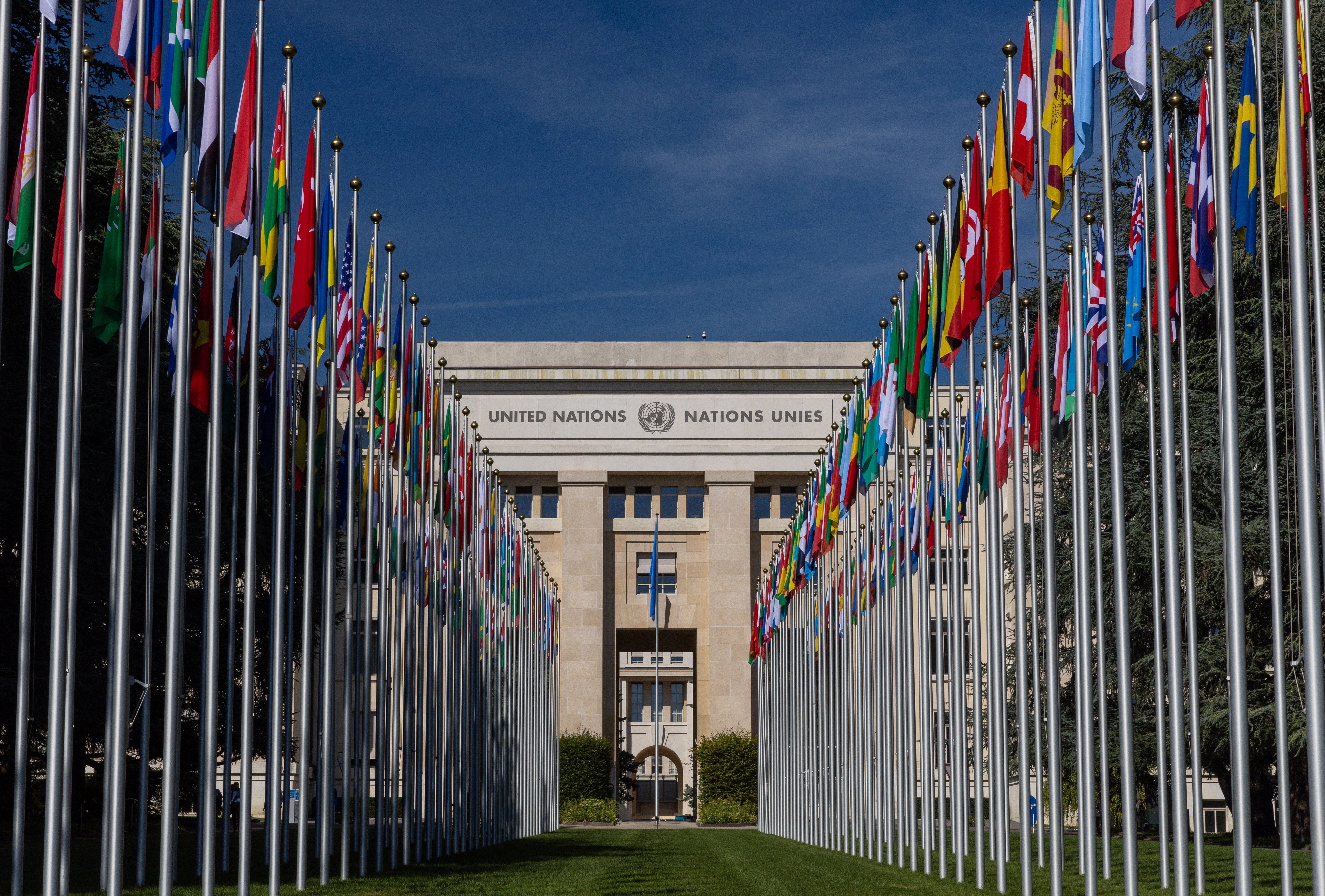 unhcr