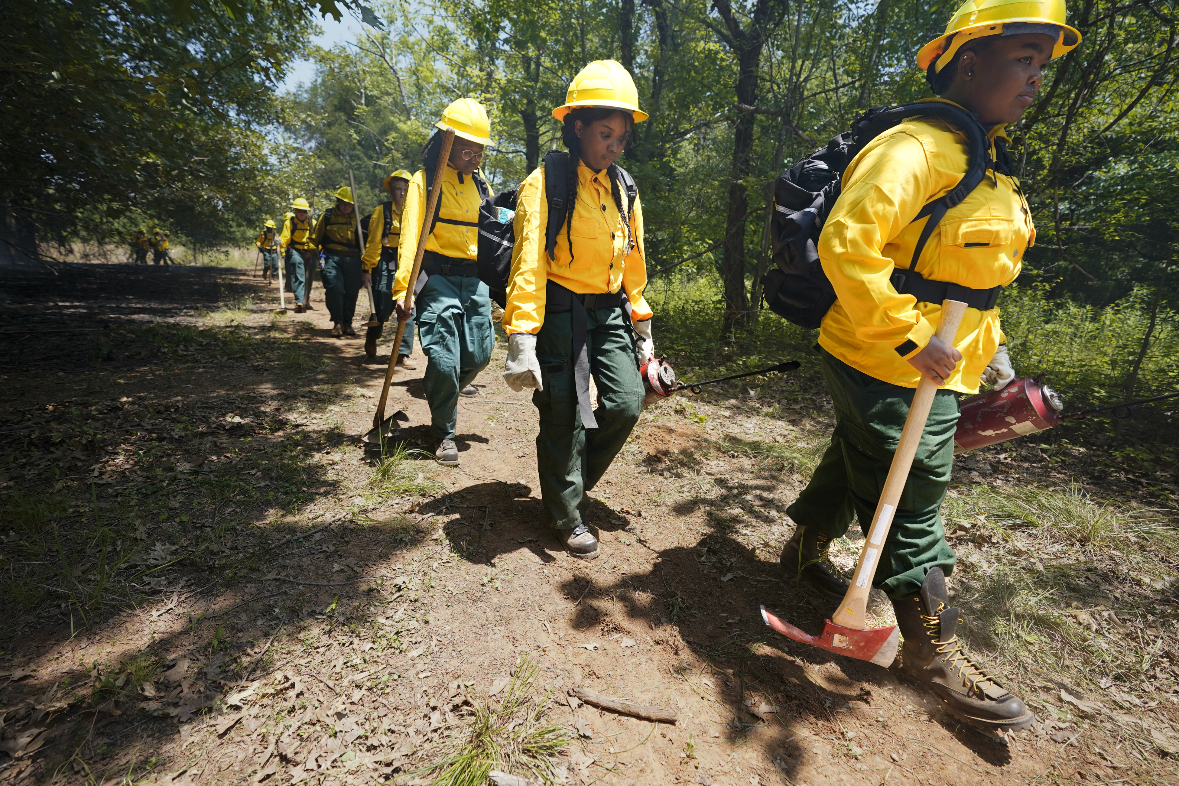 Forest dept firefighters