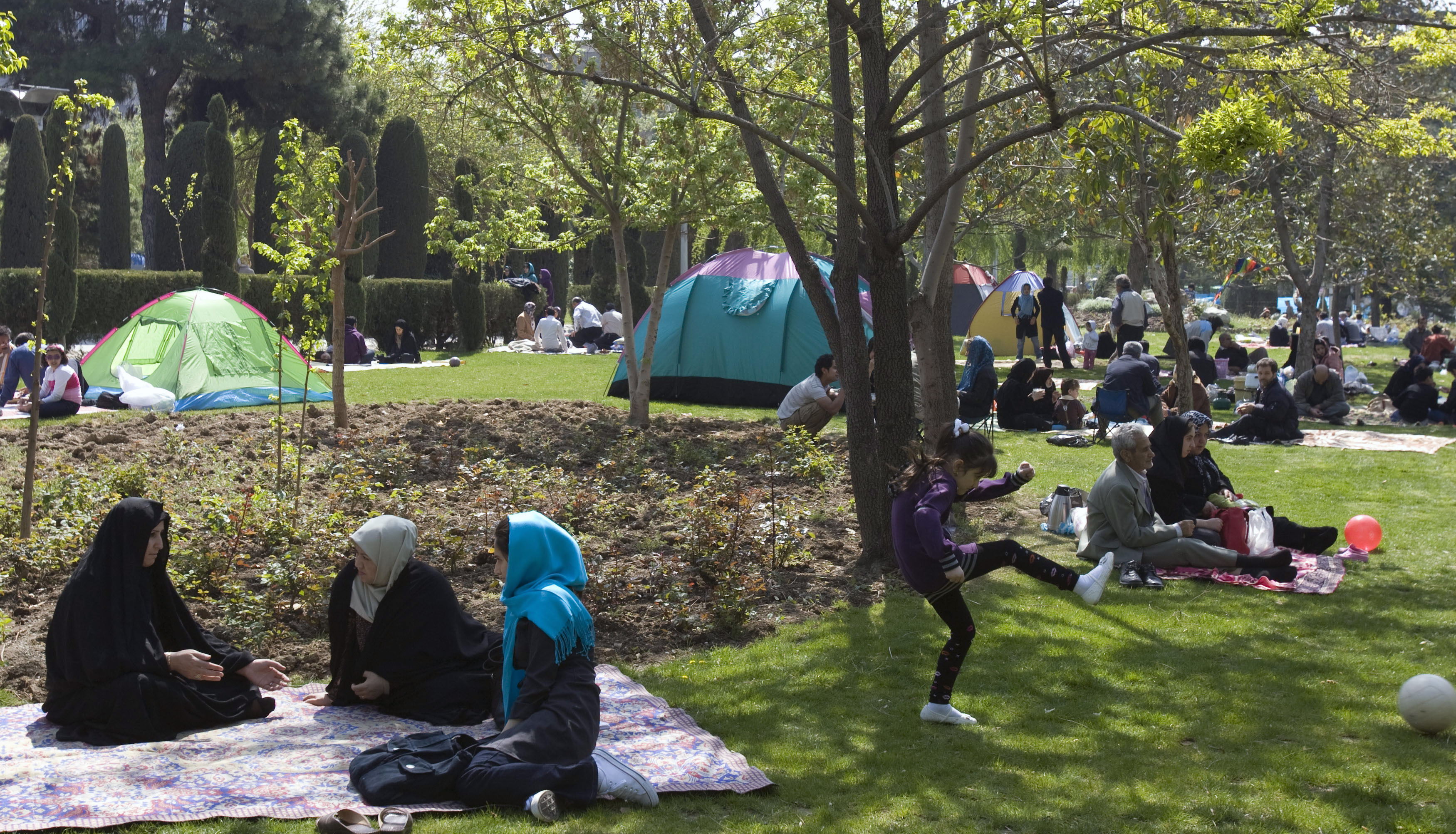 picnic day