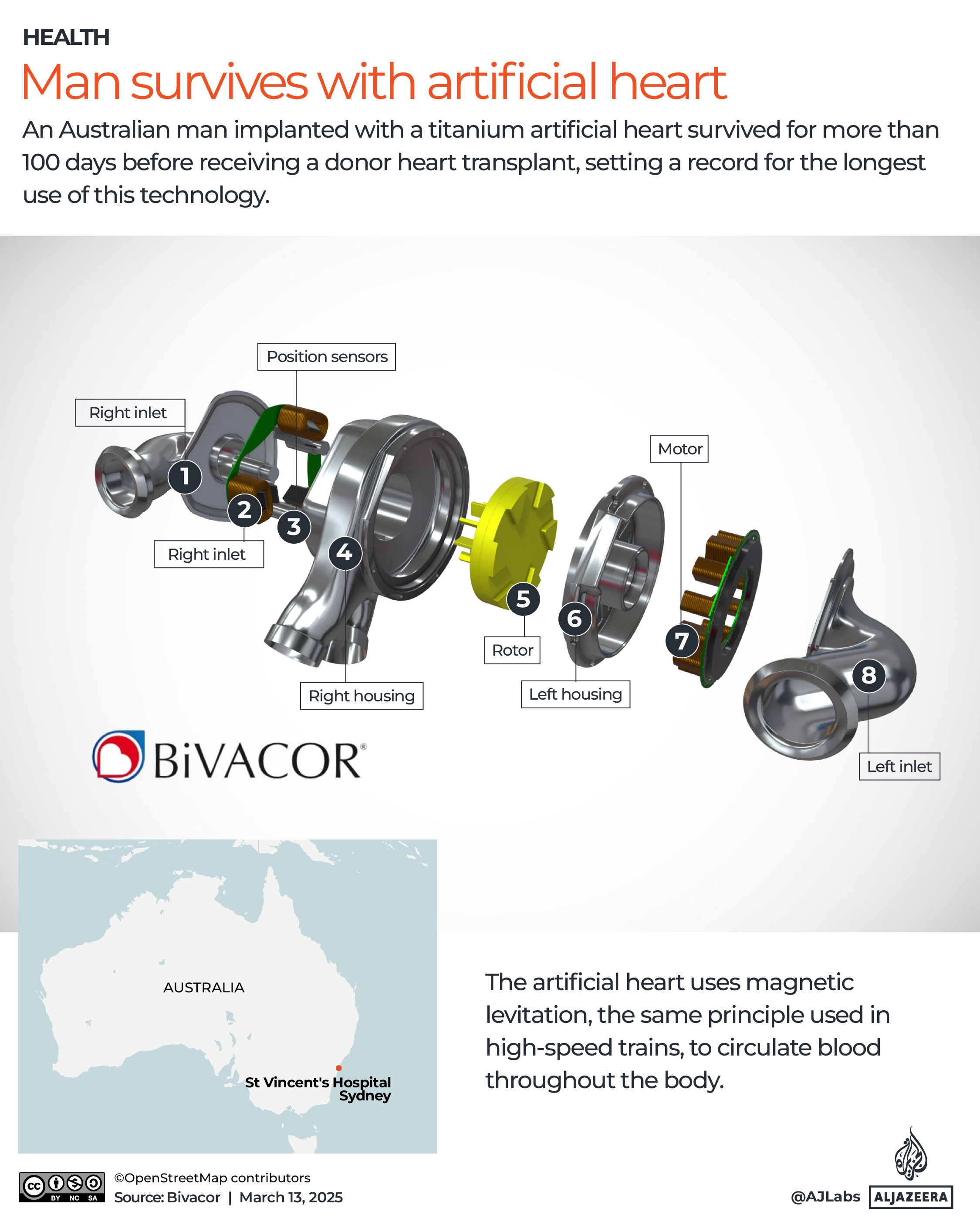 Interactive_ArtificialHeart-March13_2025