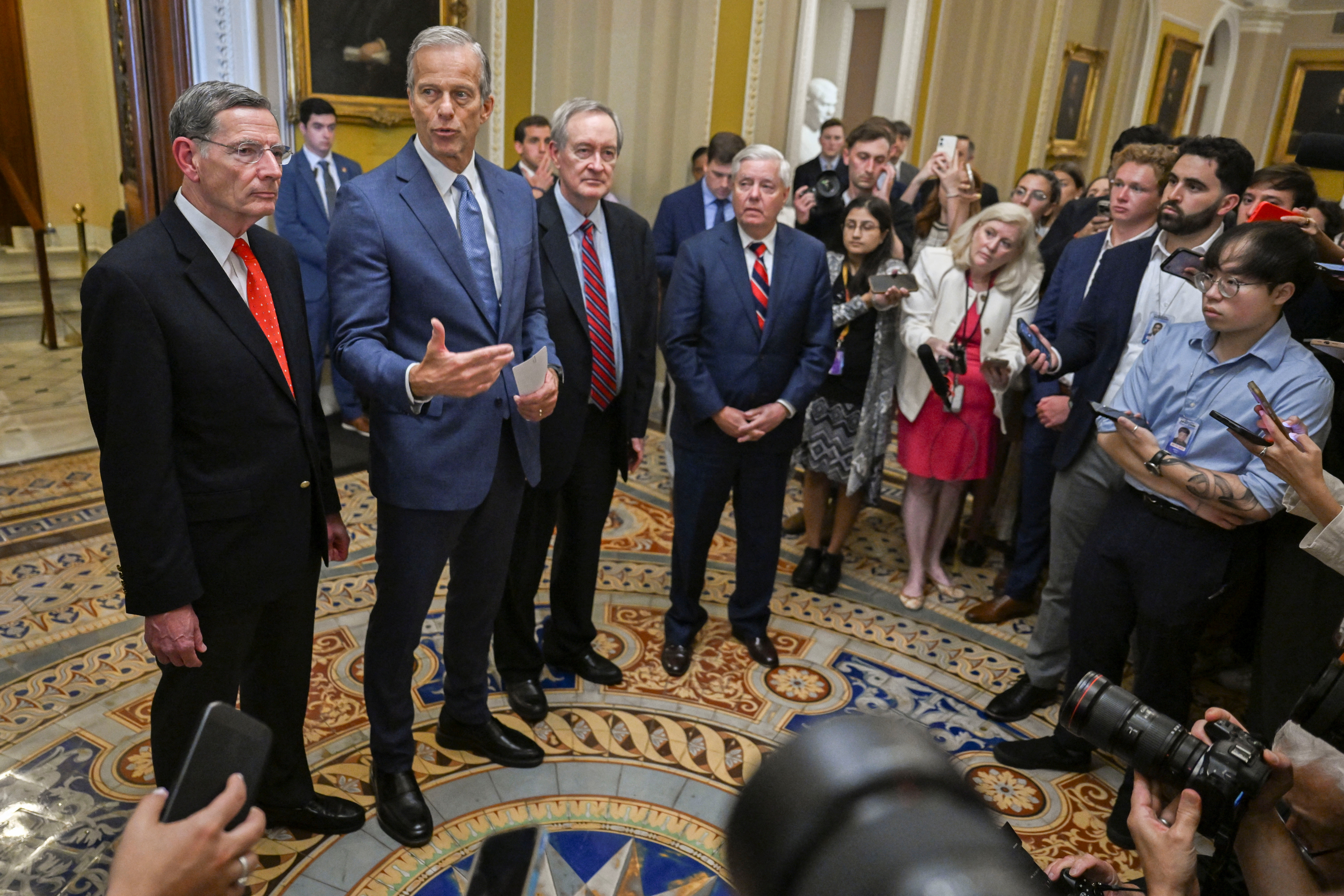 Senate Republicans
