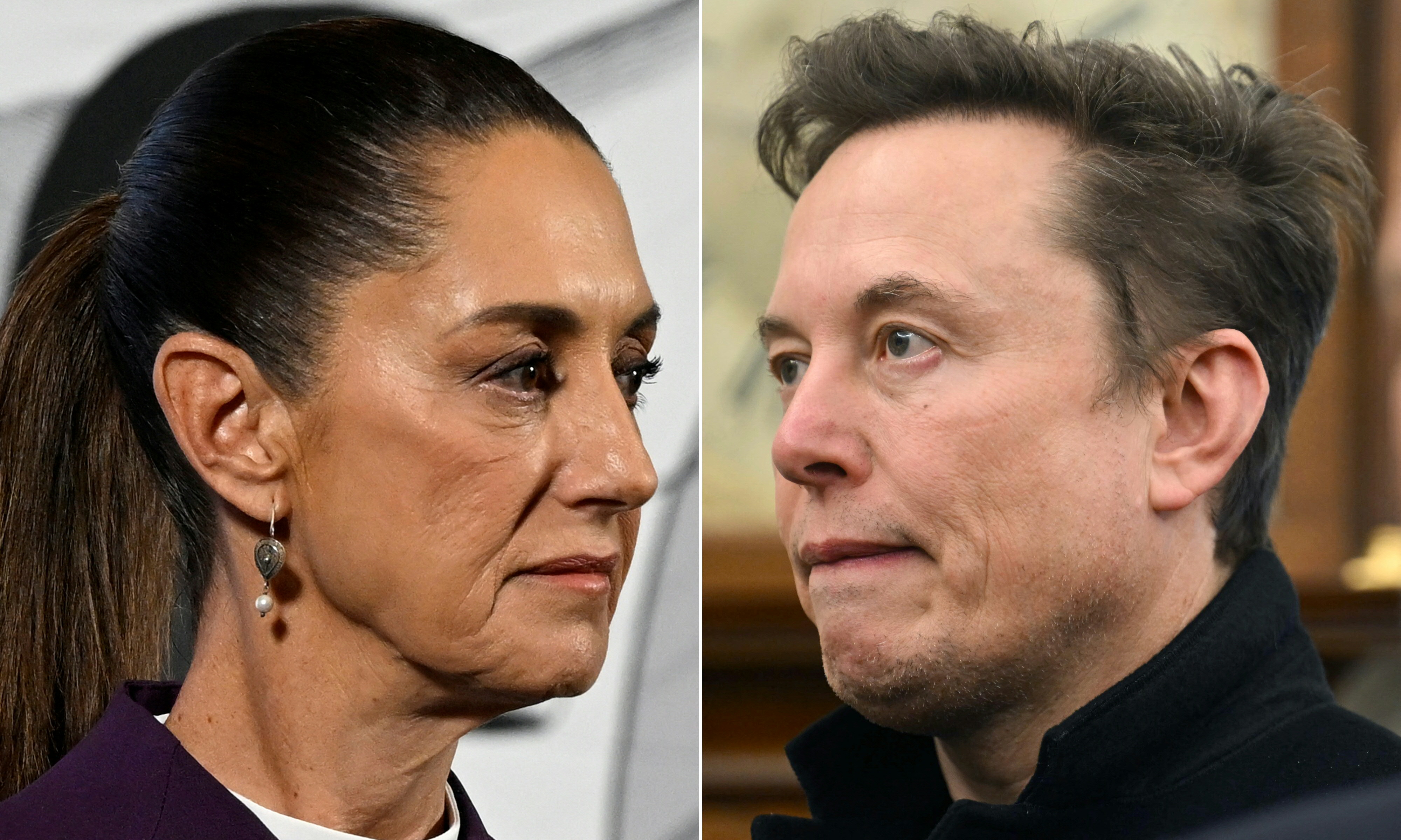 Combination of file pictures showing Mexico's President Claudia Sheinbaum (L) and billionaire Elon Musk.