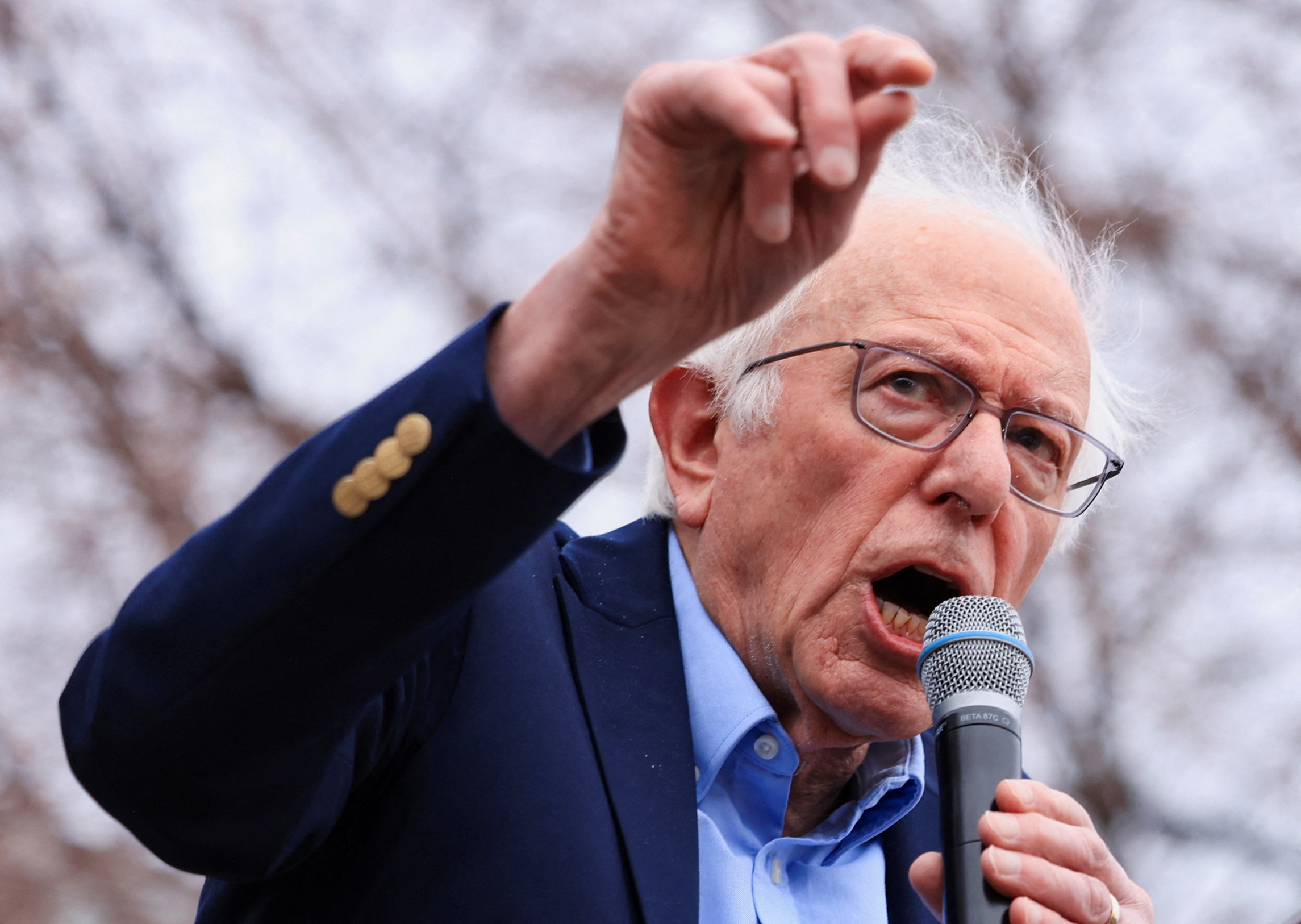 Bernie Sanders