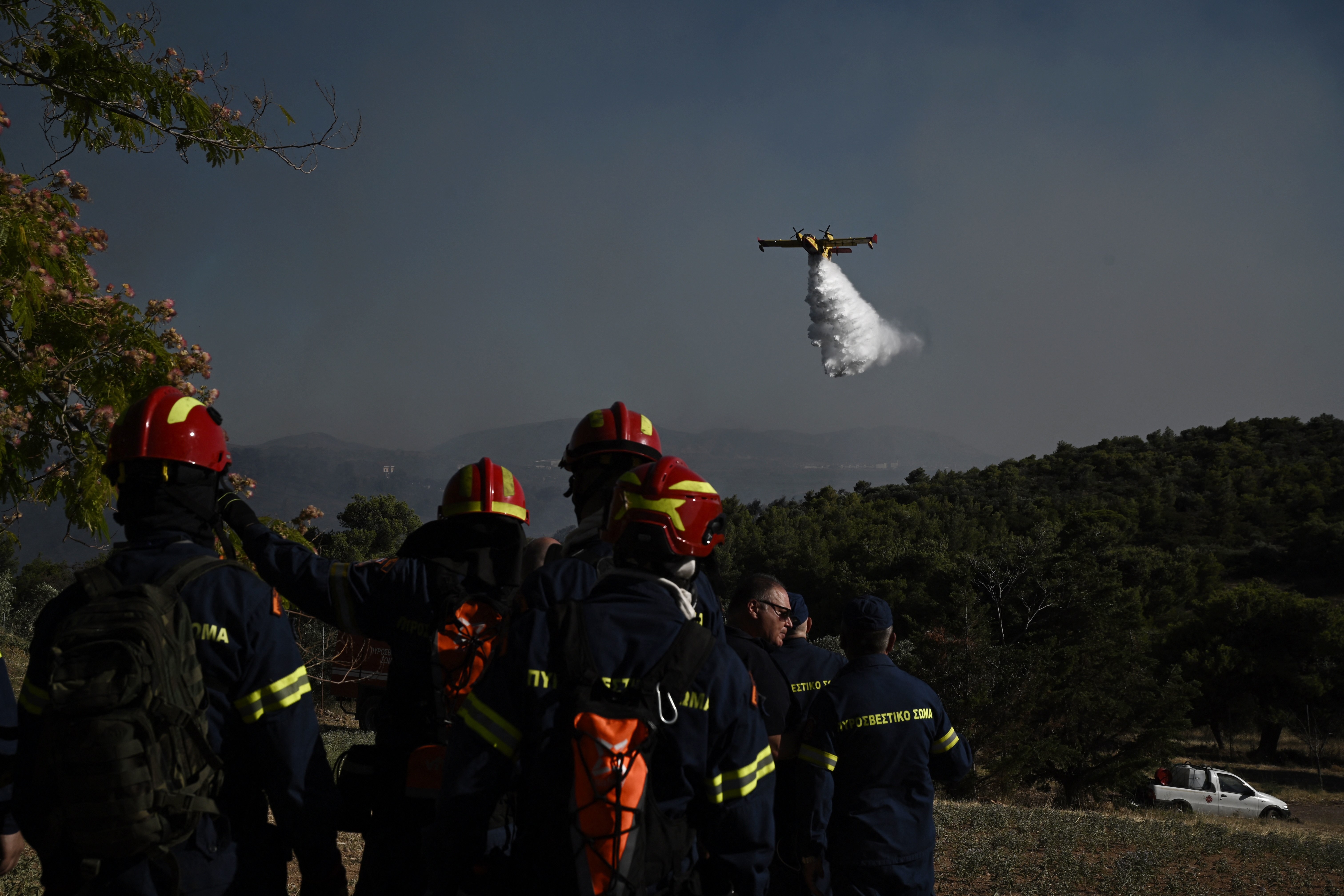 Firefighters gather on a field near an area where a plane drops water over a wildfire that broke out in Pikermi, some 30km east of Athens